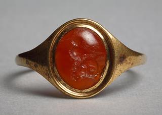 I246 Owl sitting on a ram's head