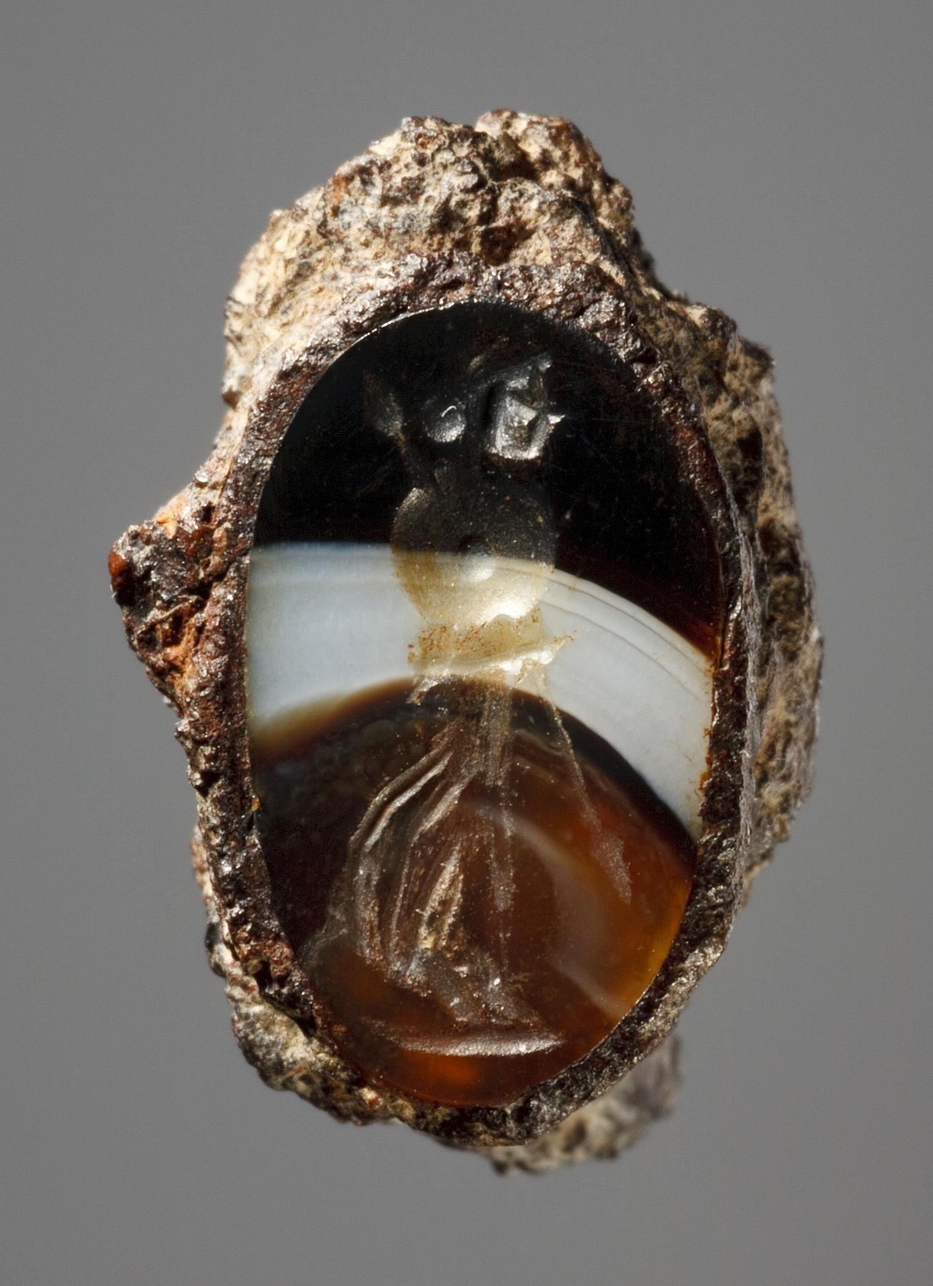 Athene med spyd og skjold, I245