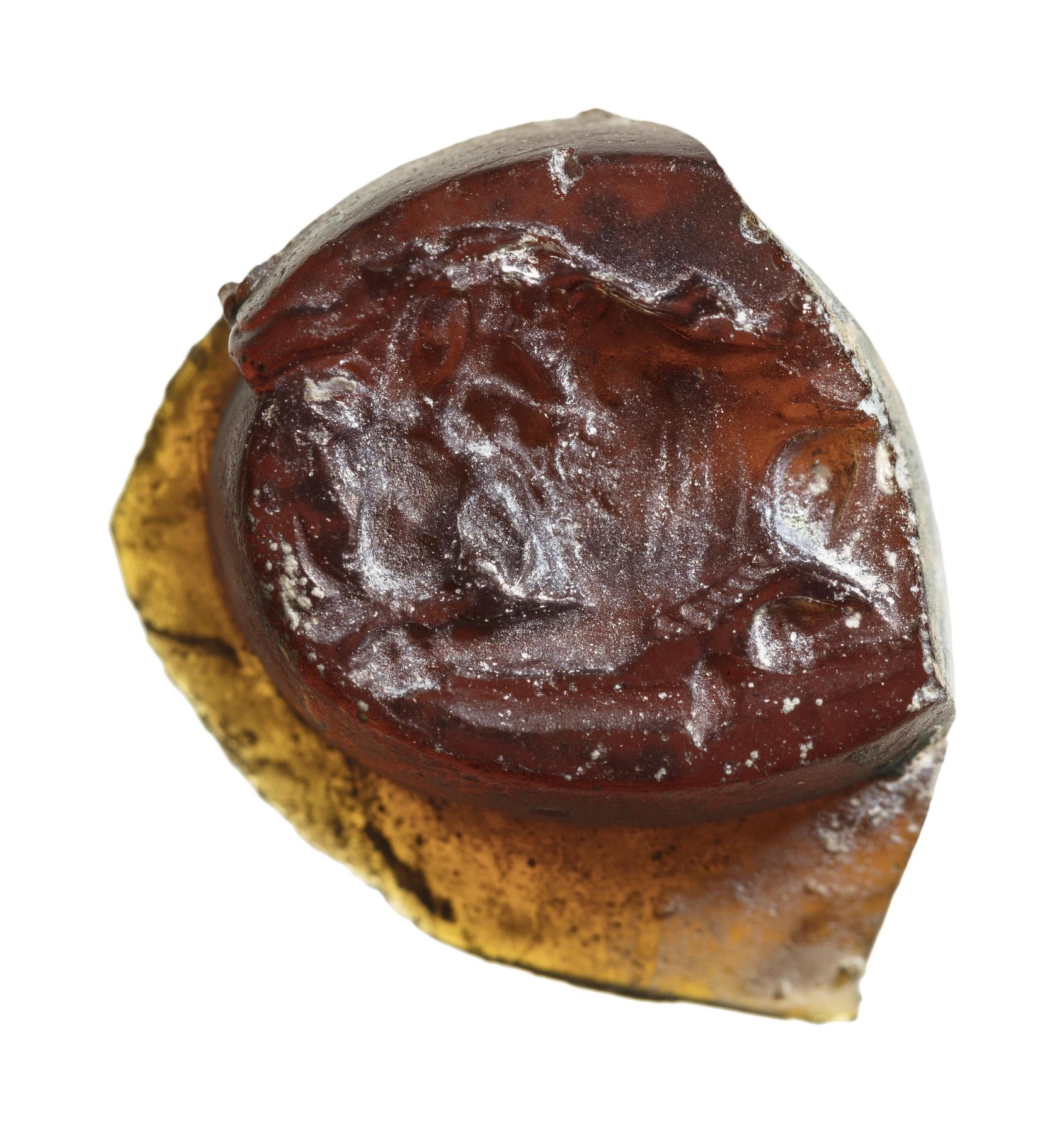 Liggende løve med et bytte, I1316