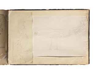 D1827,77 Peacock. Peacock