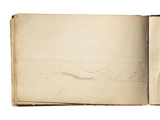 D1827,72 Dolphins