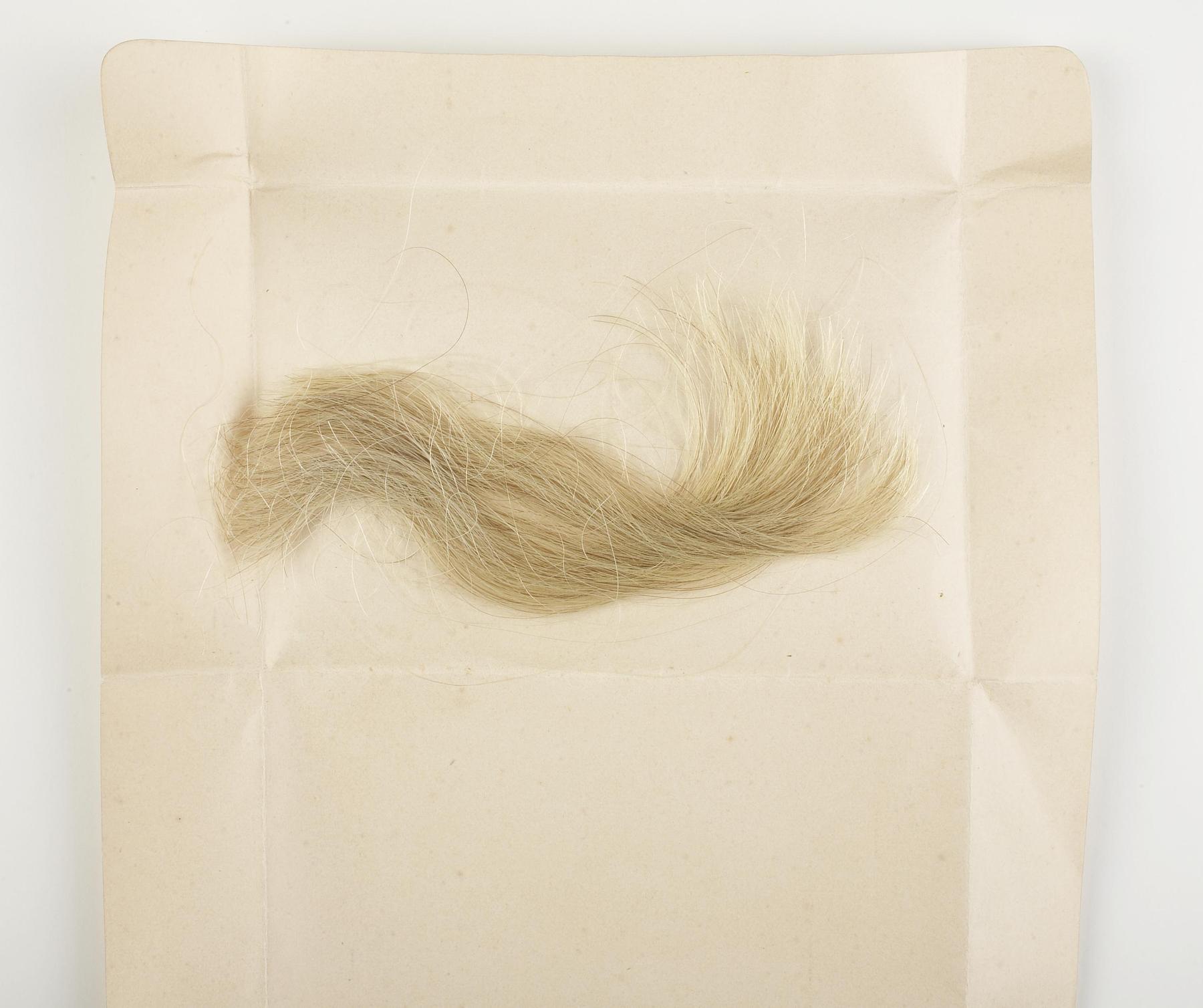 Lok af Thorvaldsens hår, N357
