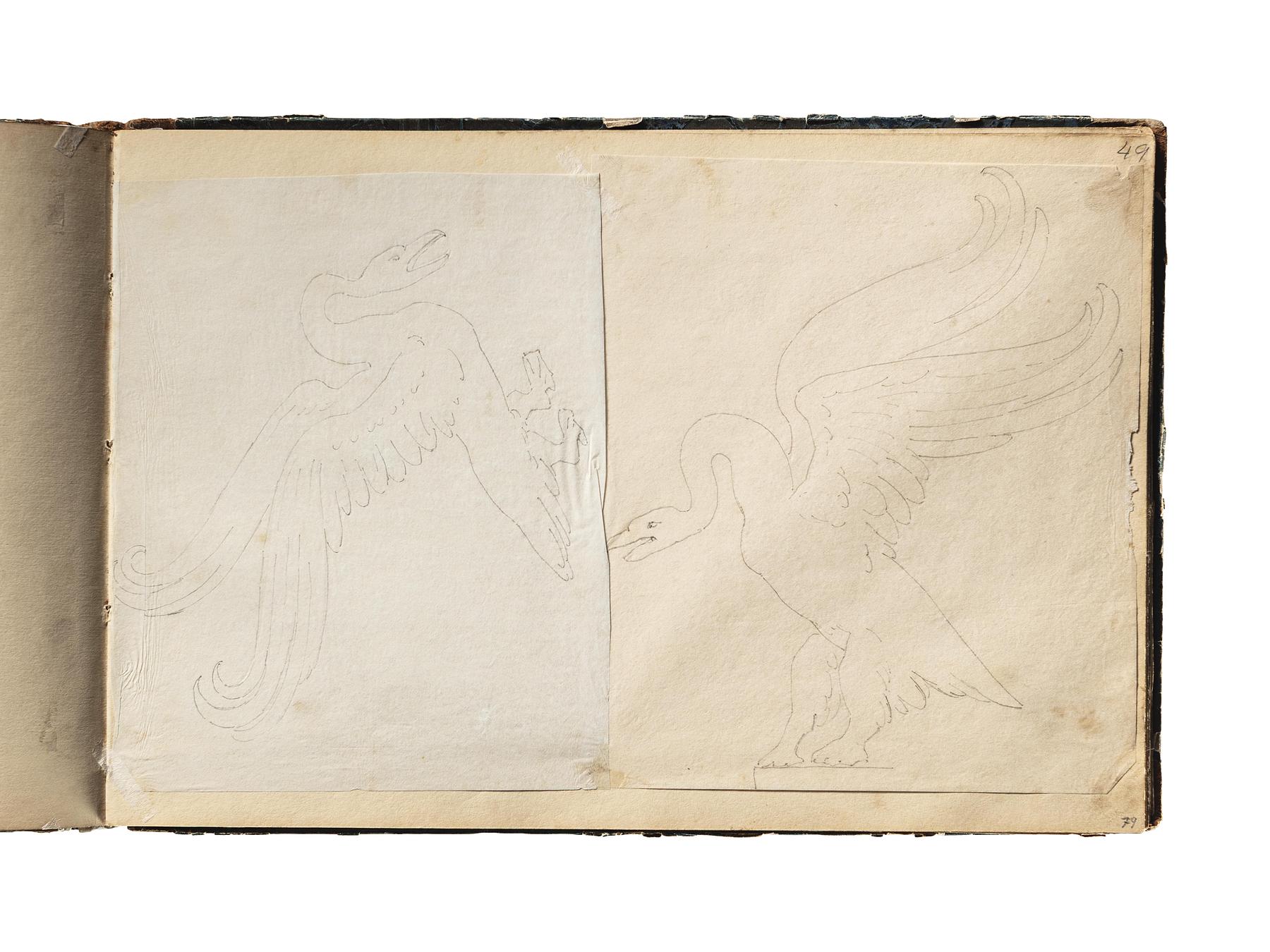 Svane. Svane, D1827,79