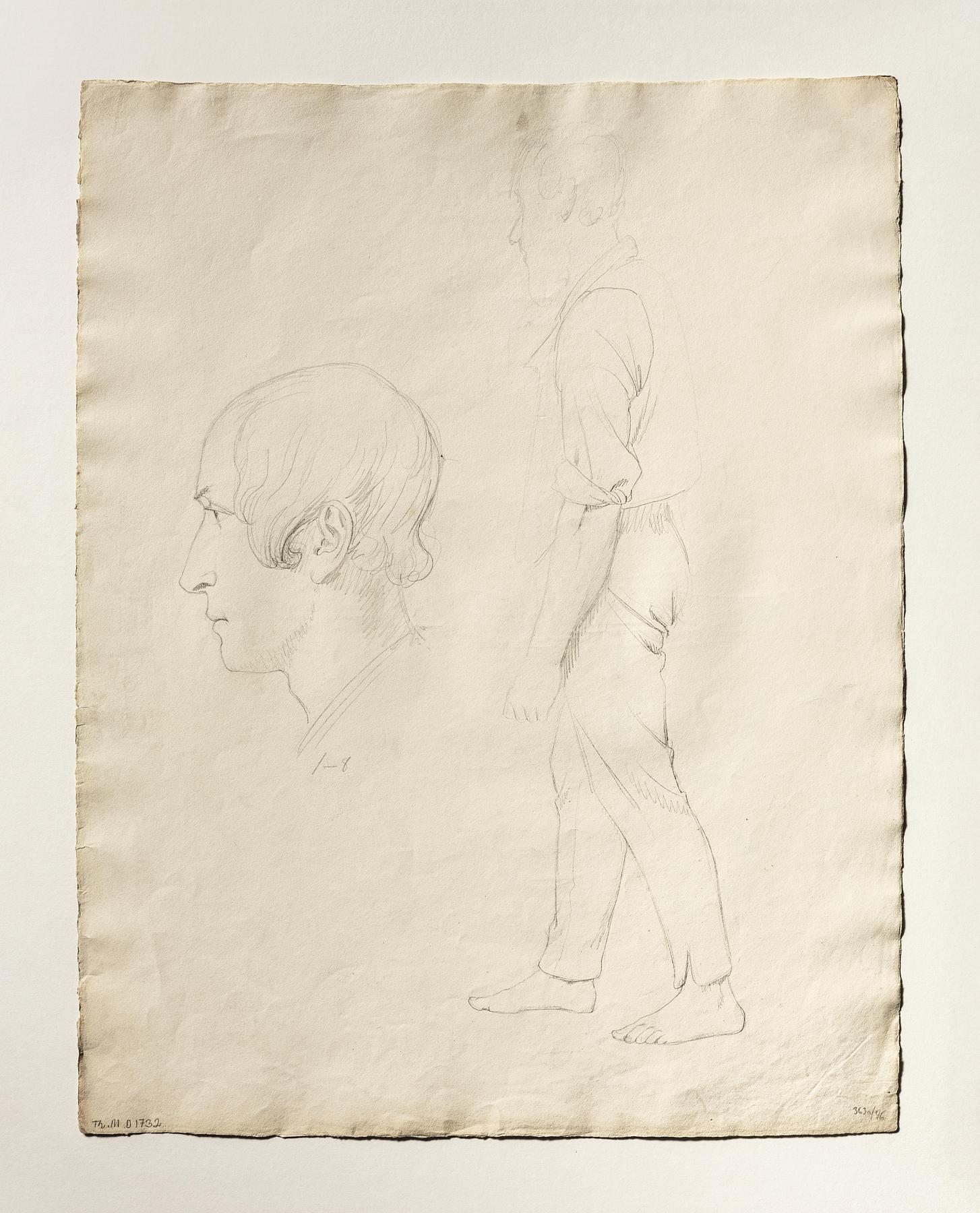 Labourer. Head, D1732v