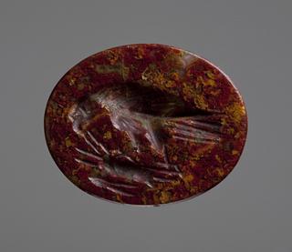 I127 Ørn der fortærer en død hare