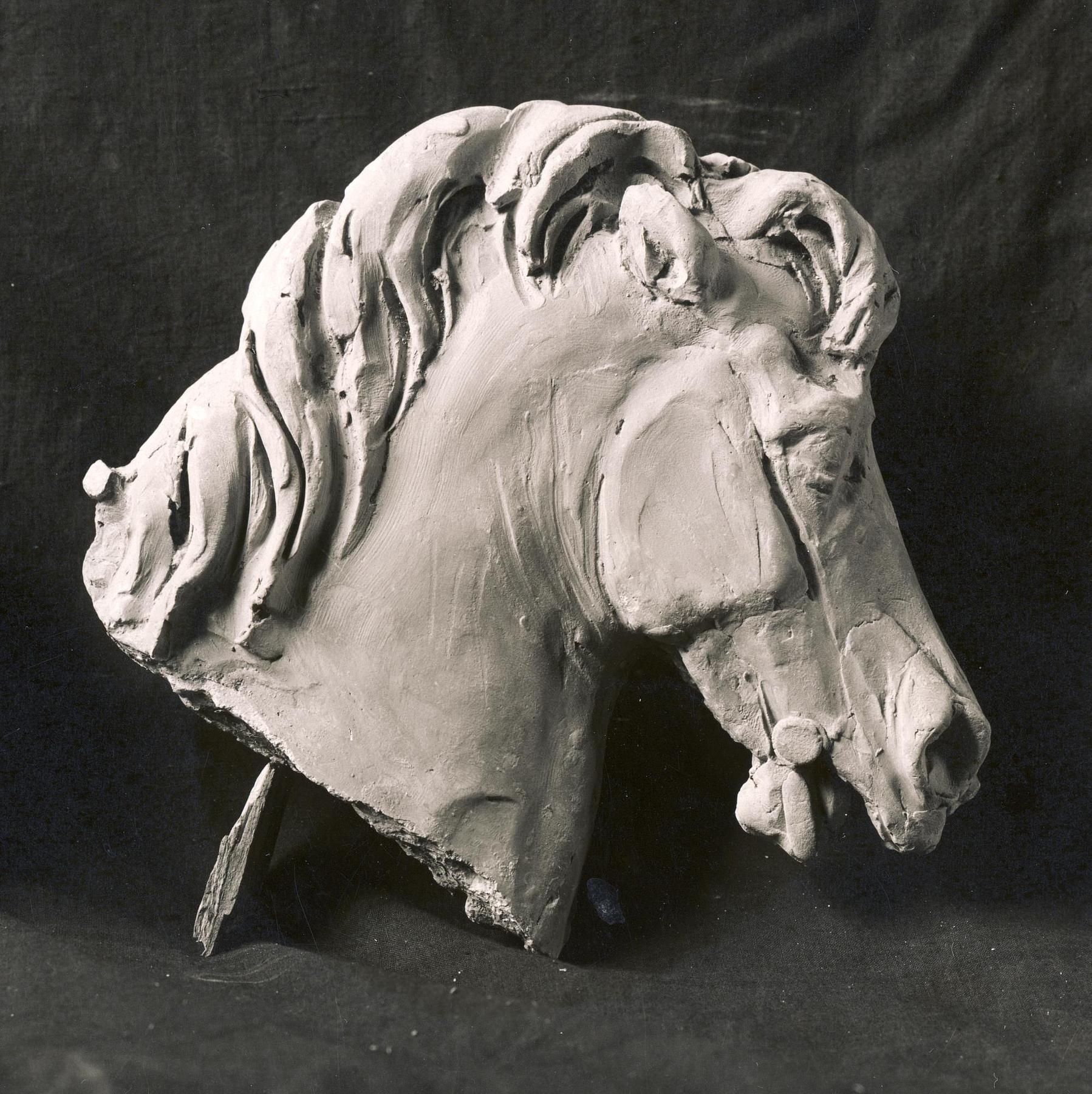 Horse's and Warrior's Head, Nysø64