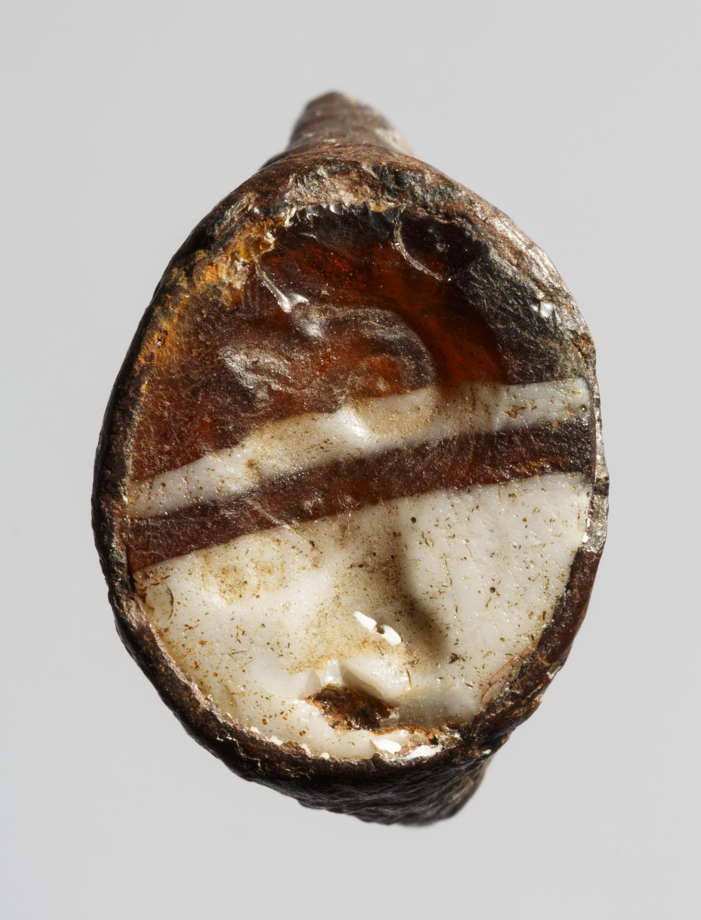 Hoved af Zeus Ammon, I653