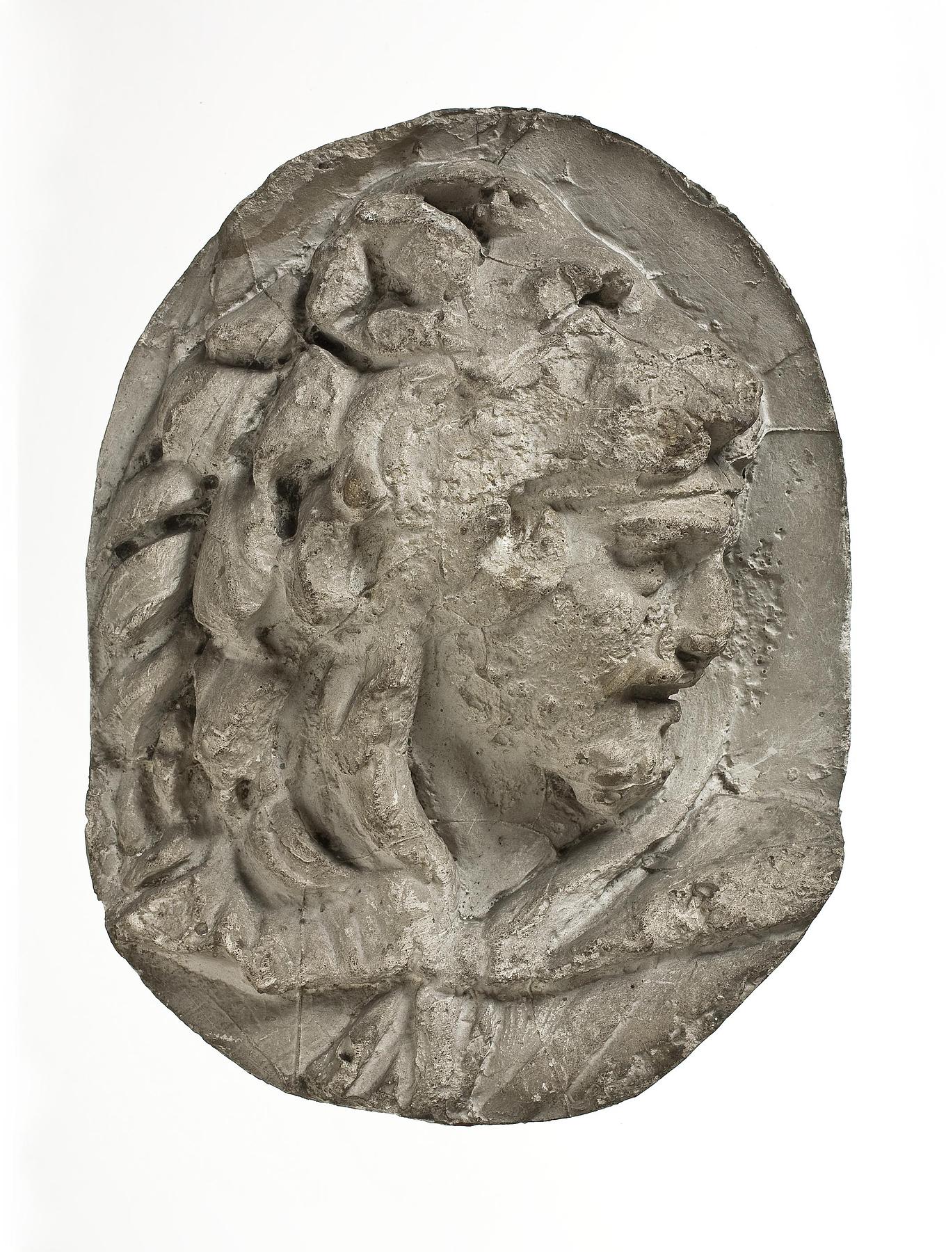 Head of a standard-bearer, L327b