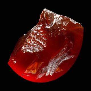 I1067 Portrait of a bearded man