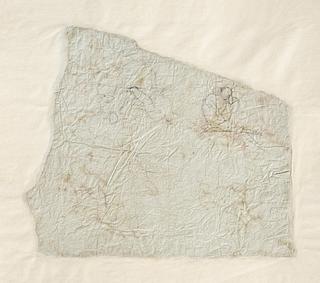 C205v Mandlige modeller