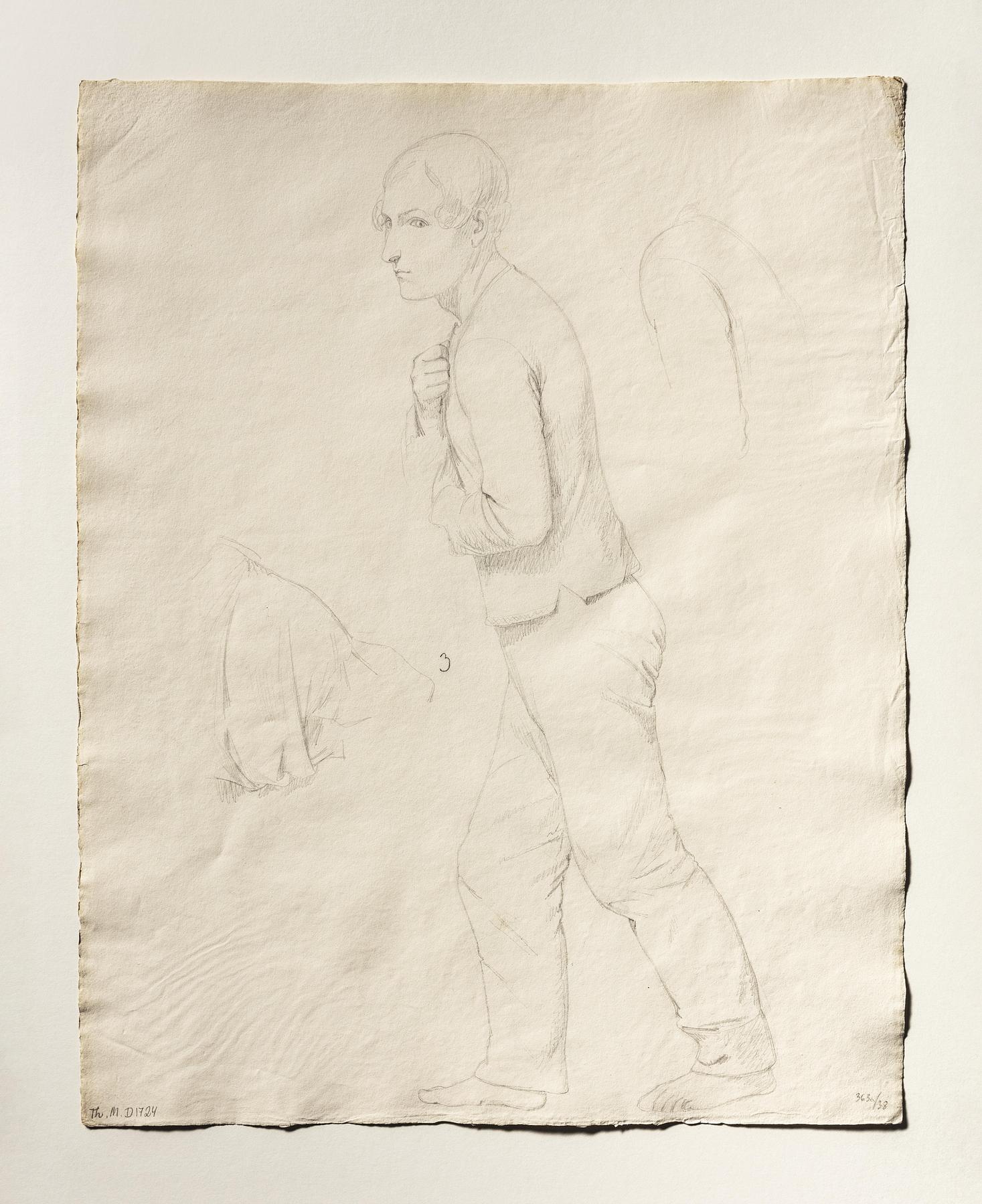 Labourer. Back. Shoulder, D1724v
