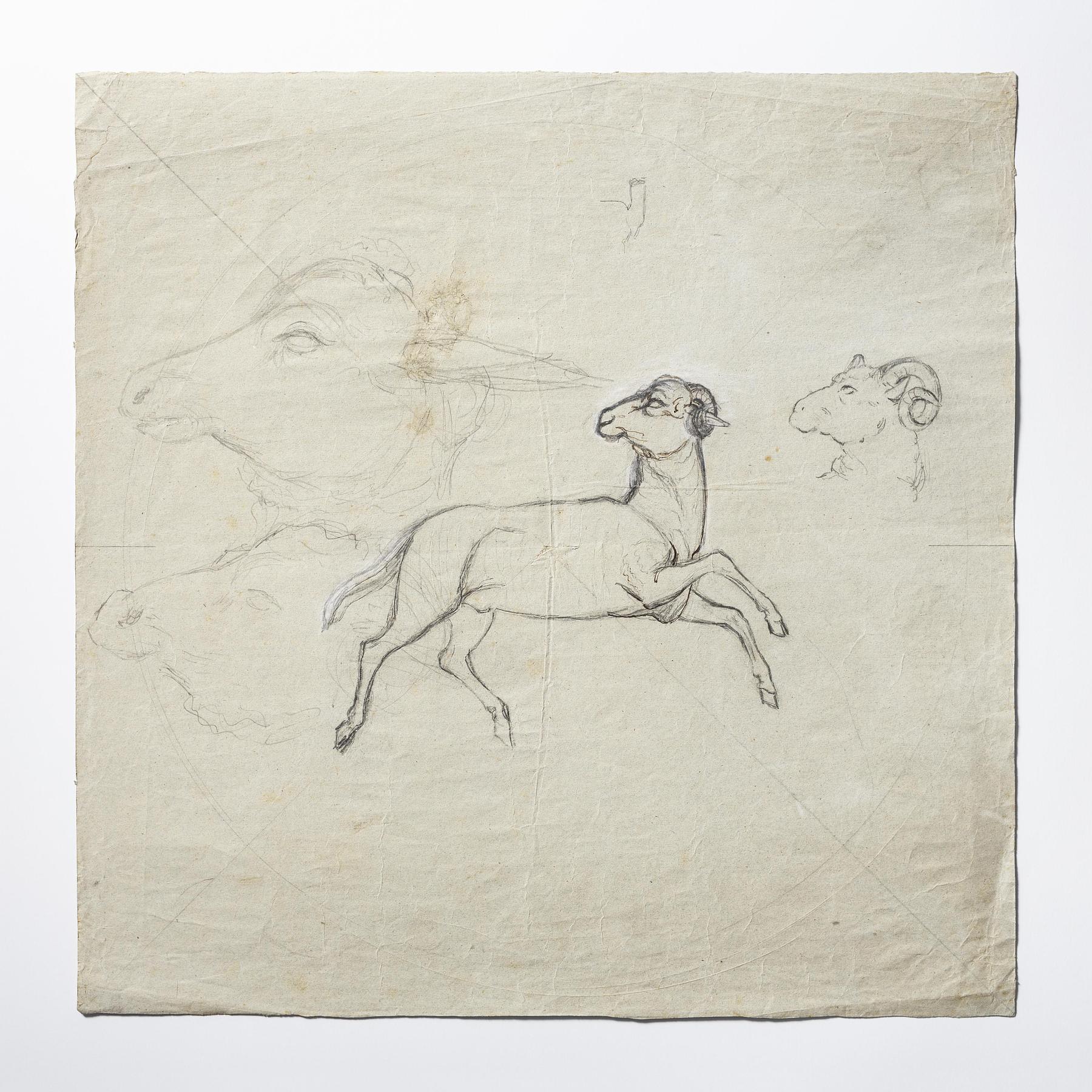 Aries, D1627r
