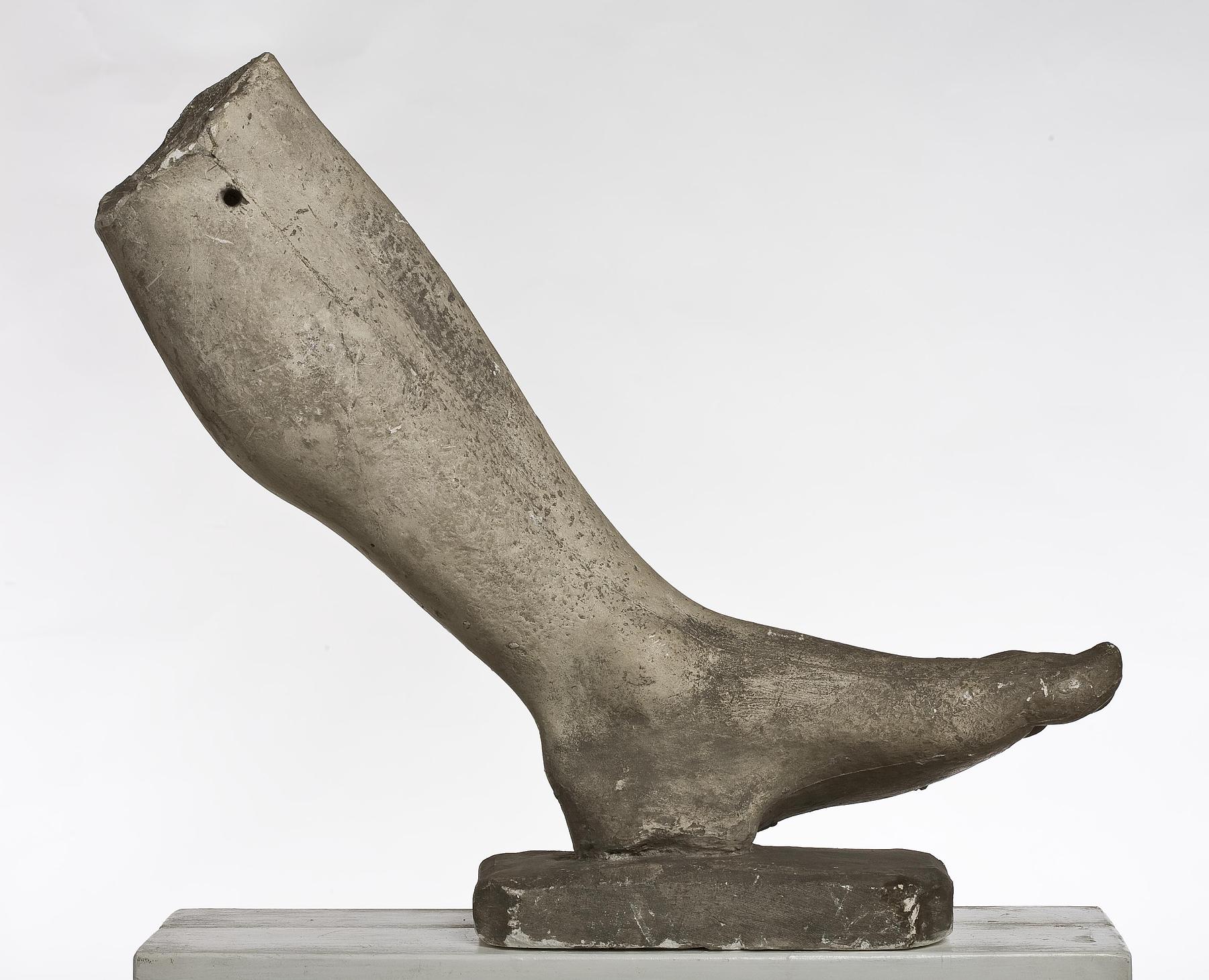 A left lower leg and foot, L24