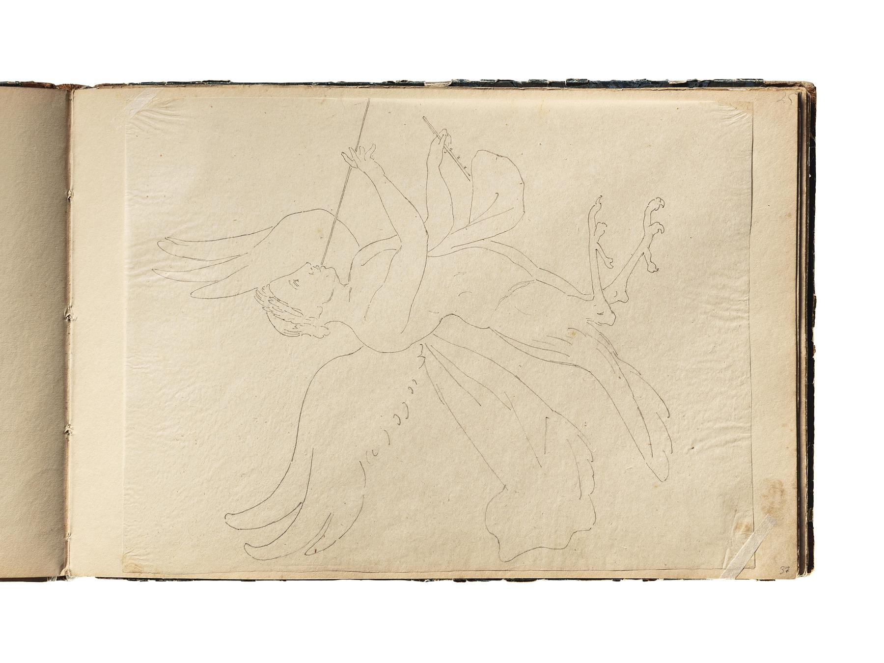 Harpyie eller sirene (?) med fløjte, D1827,37