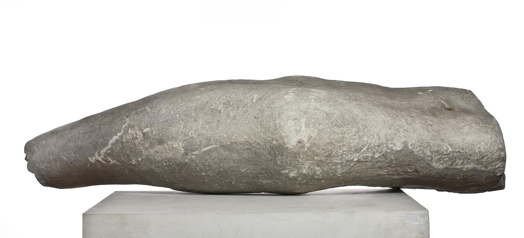 Left arm, L85b