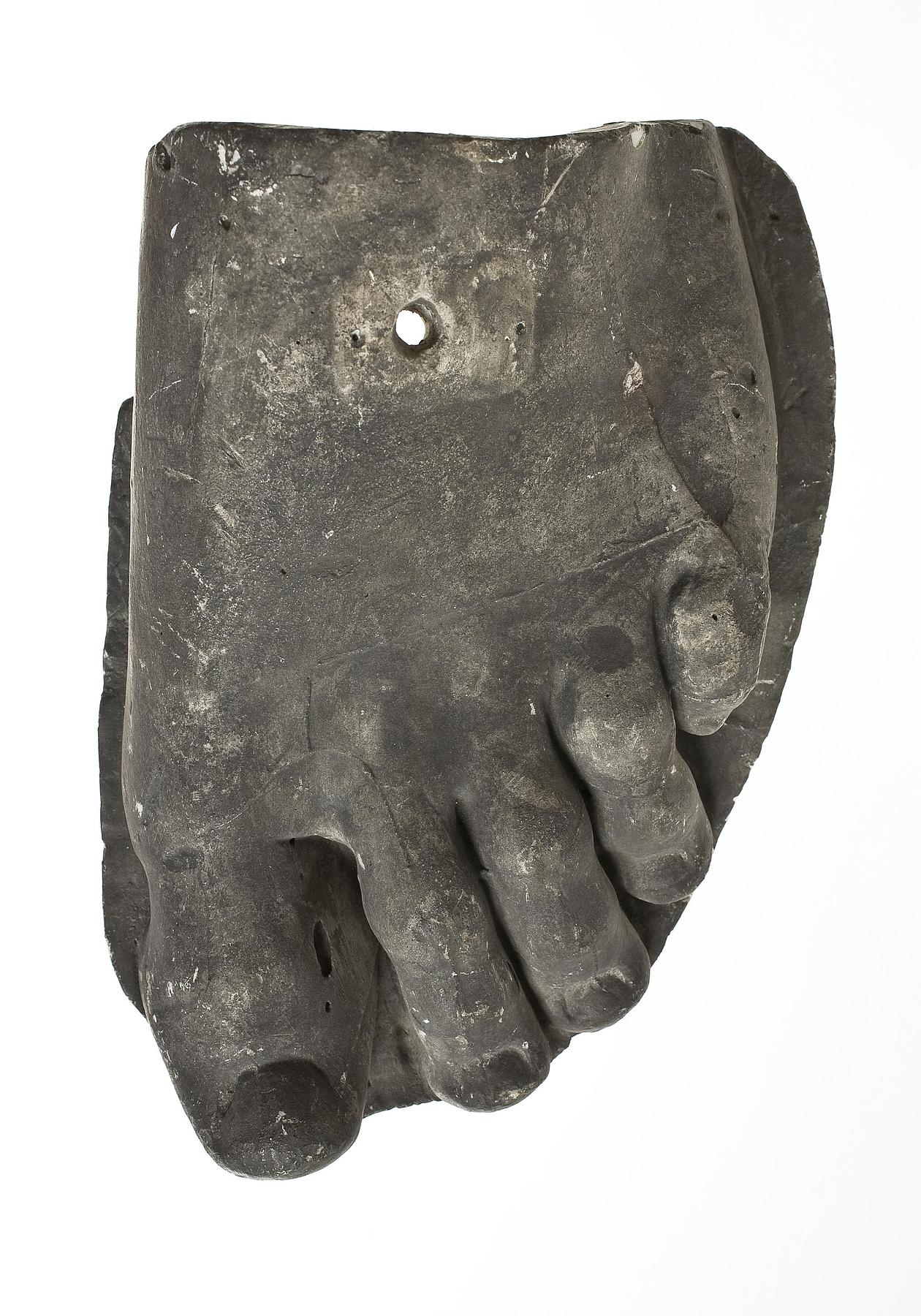 Left foot of the Discophorus, L77