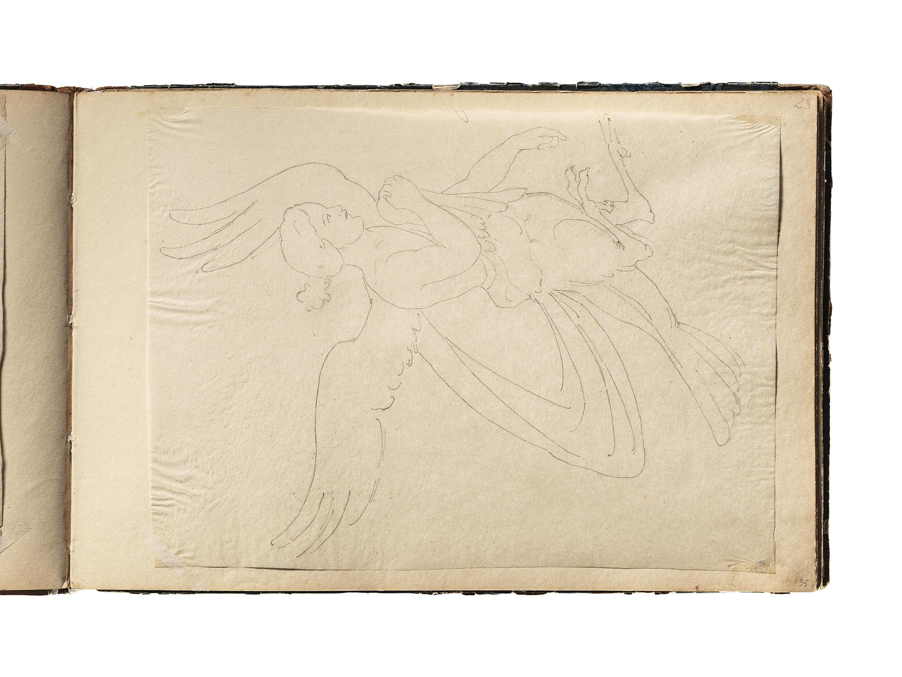 Harpyie eller sirene (?), D1827,35
