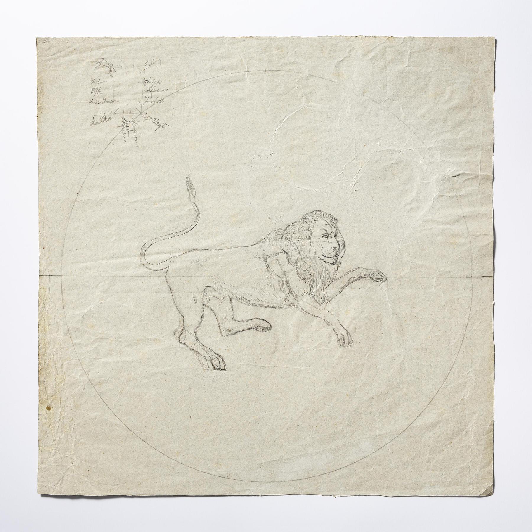 Løven, D1631r