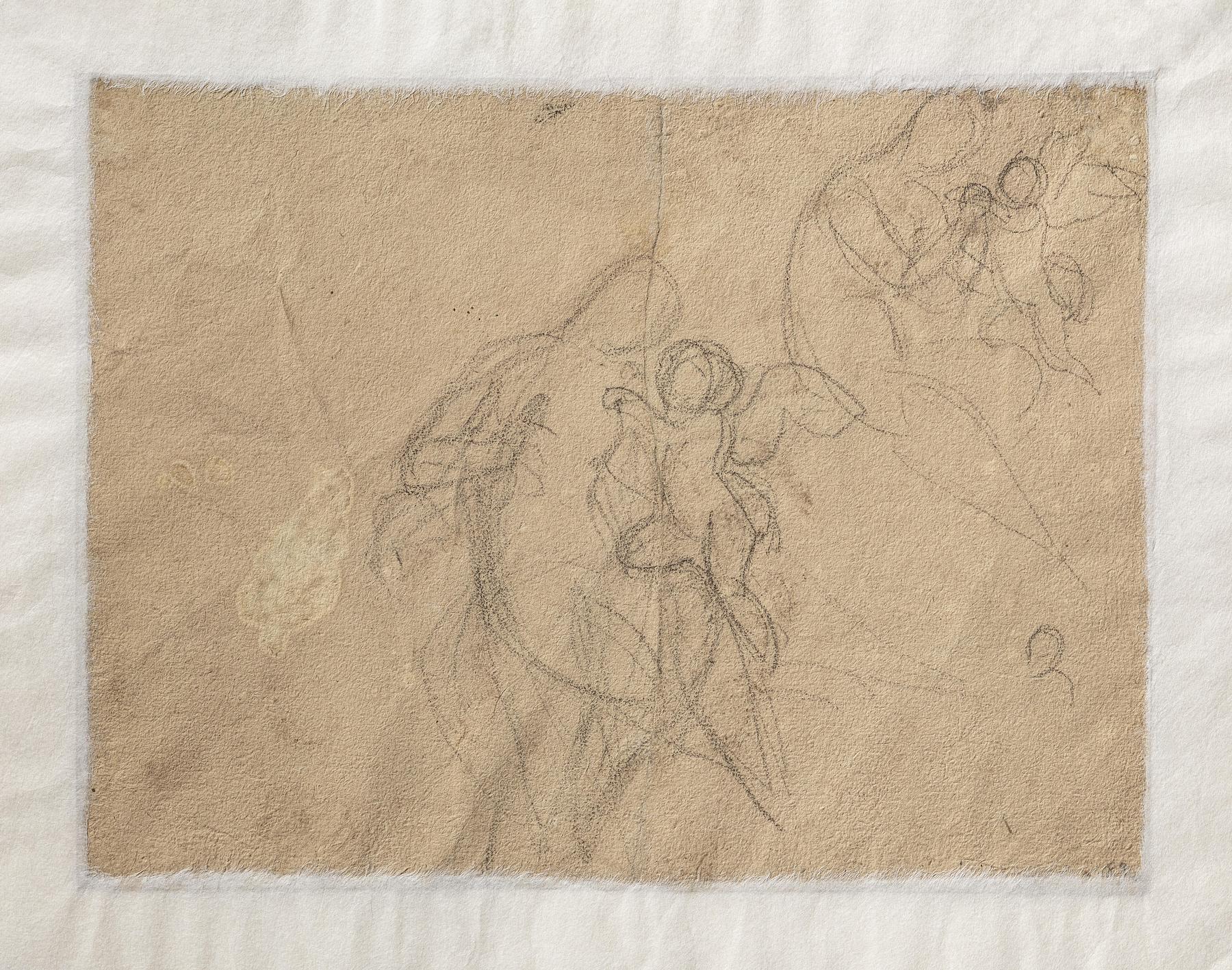 Amor klager til Venus over et bistik, C89v