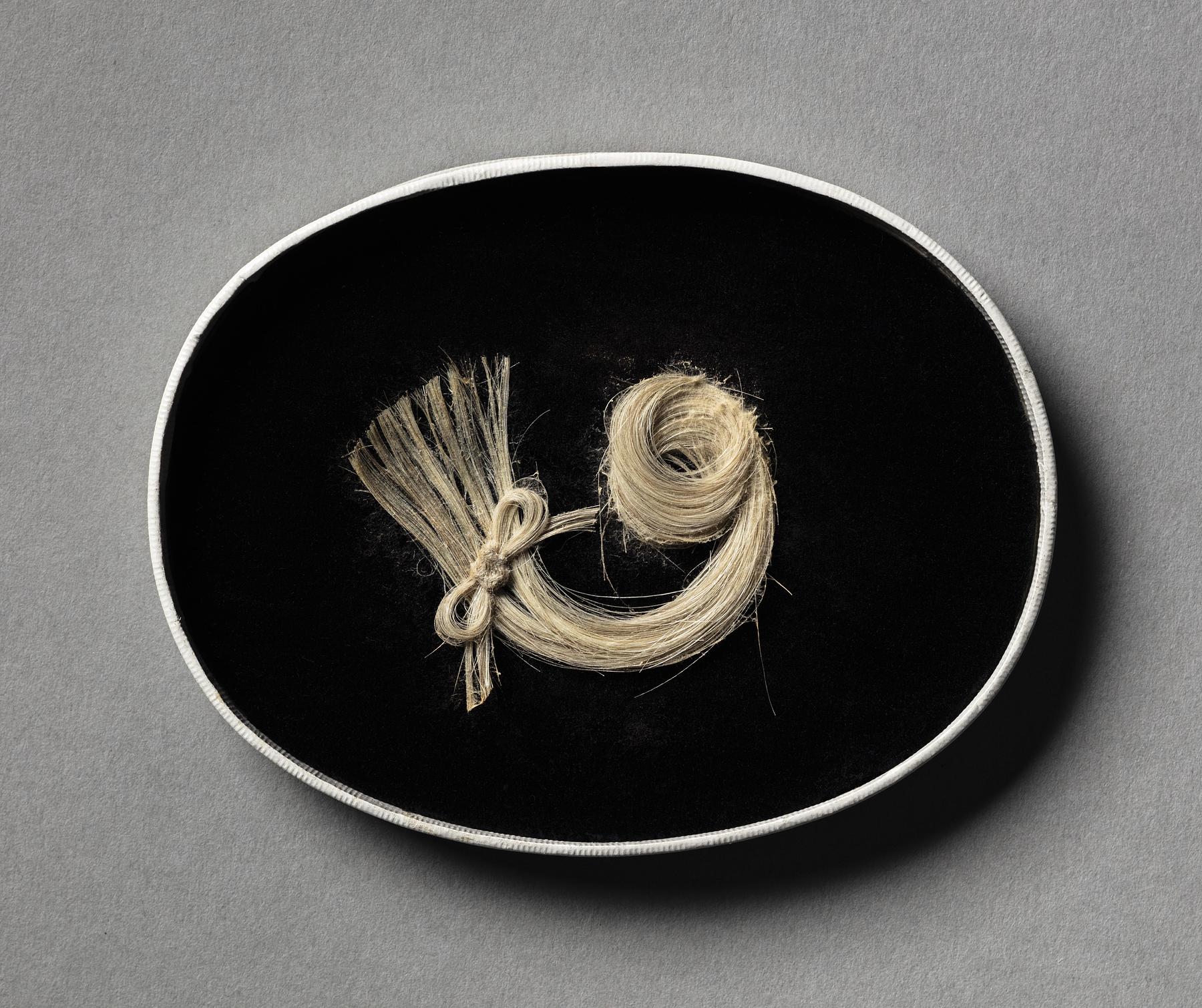 Lock of Thorvaldsen's hair, N226