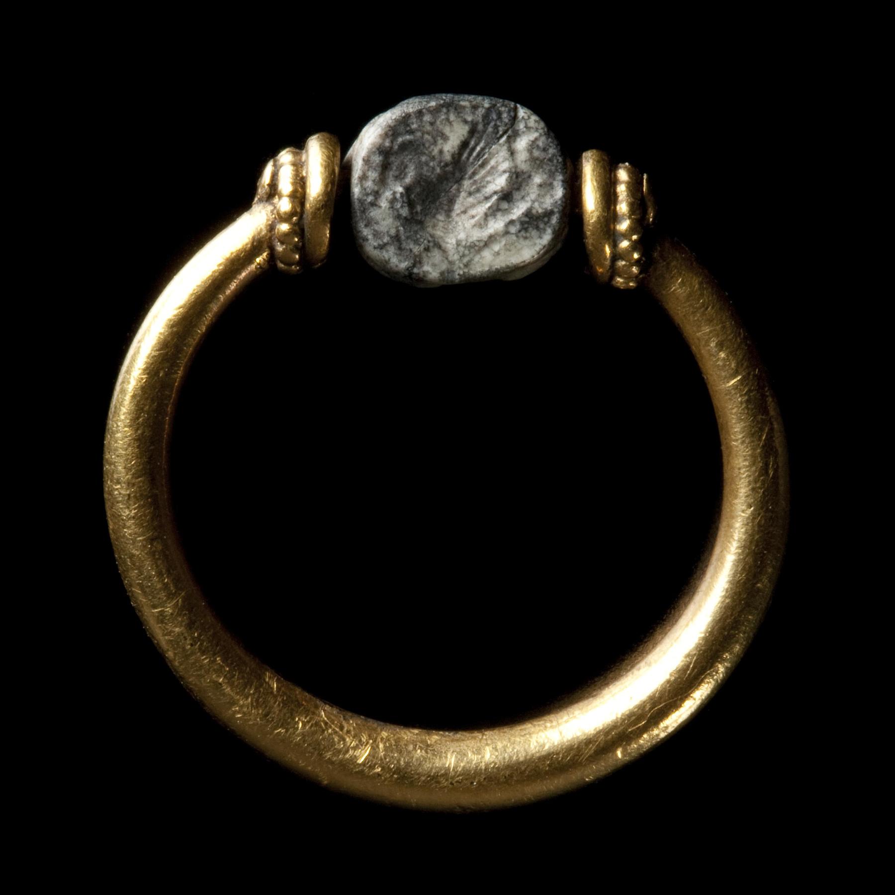 Bevinget havhest, I40