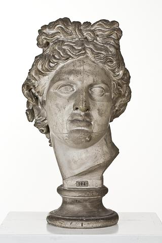 L104 Head of Apollo Belvedere