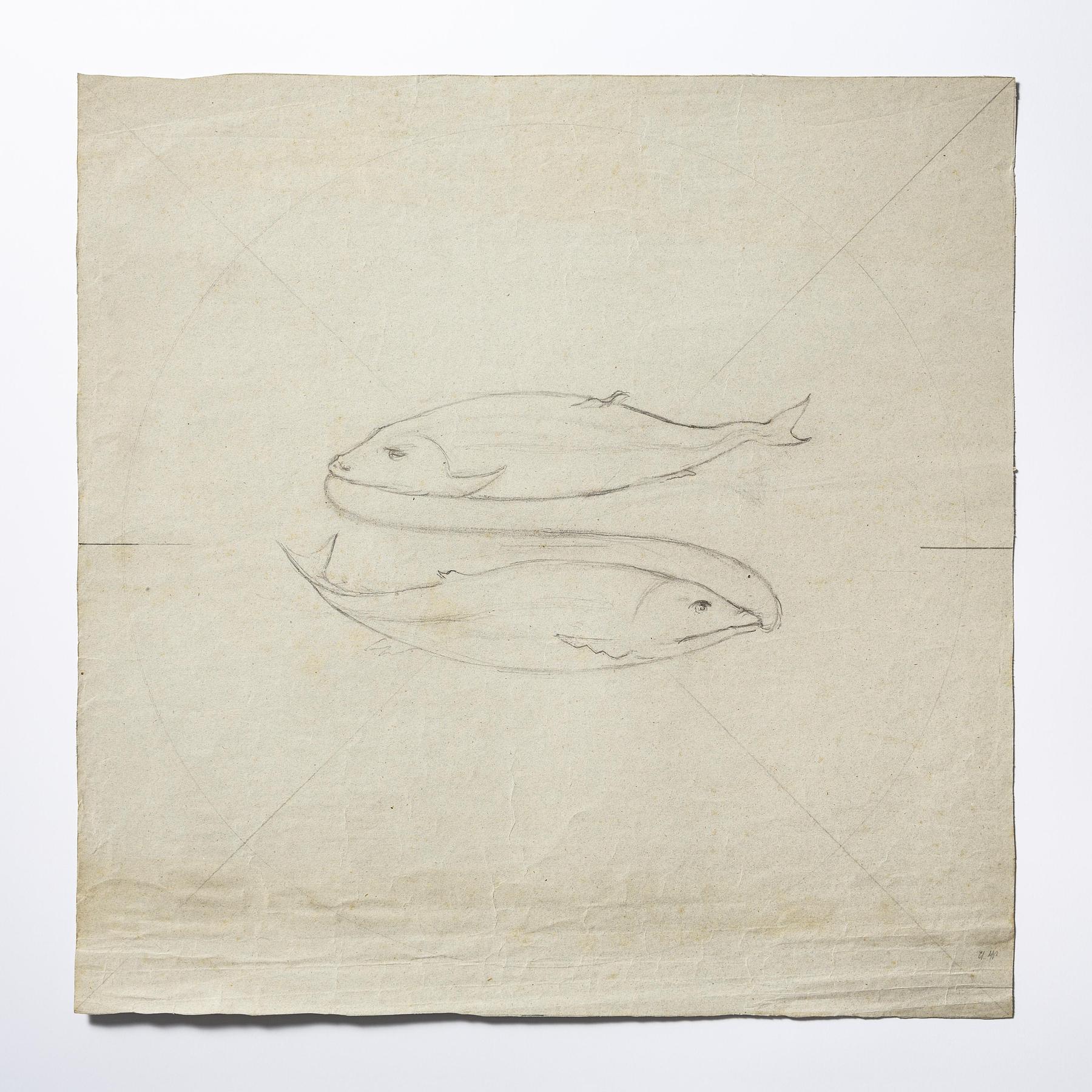 Fiskene, D1638r
