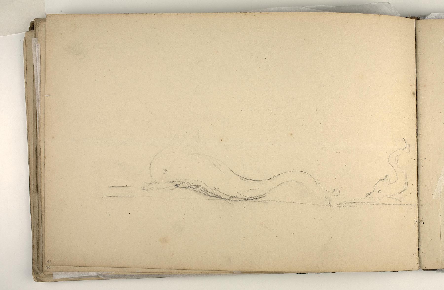Dolphins, D1827,72