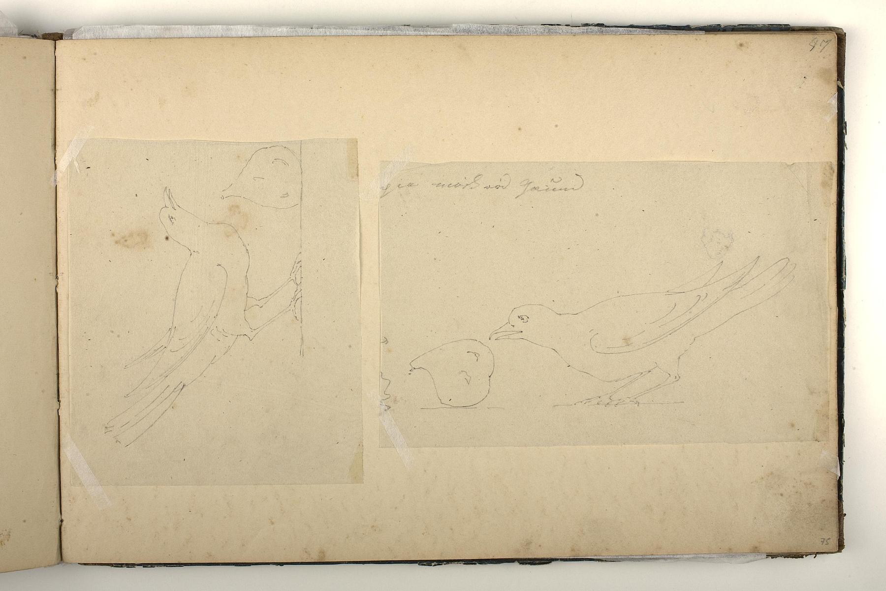 Dove and a pearshaped Figure, D1827,75