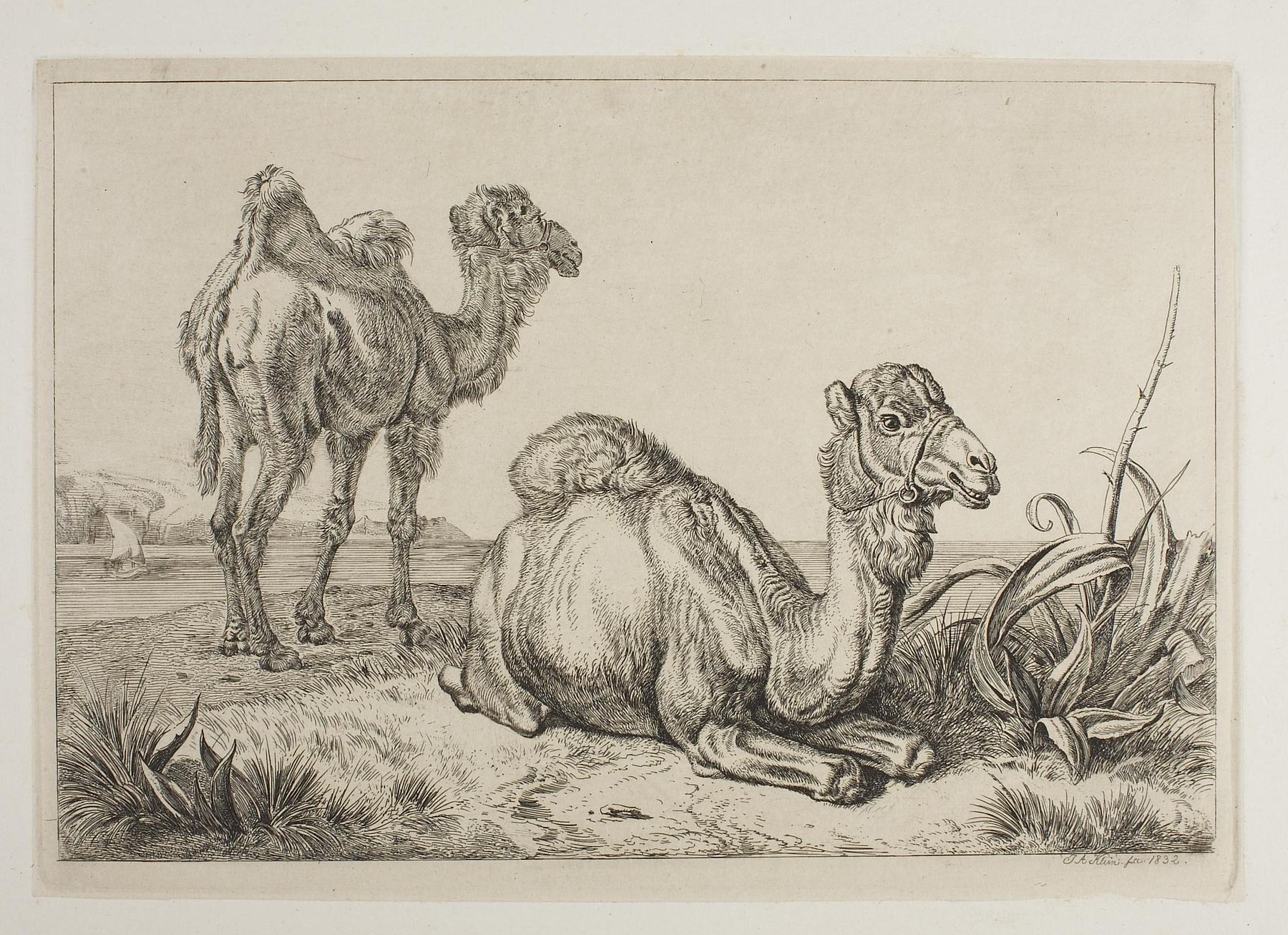 Kameler i et landskab, E752