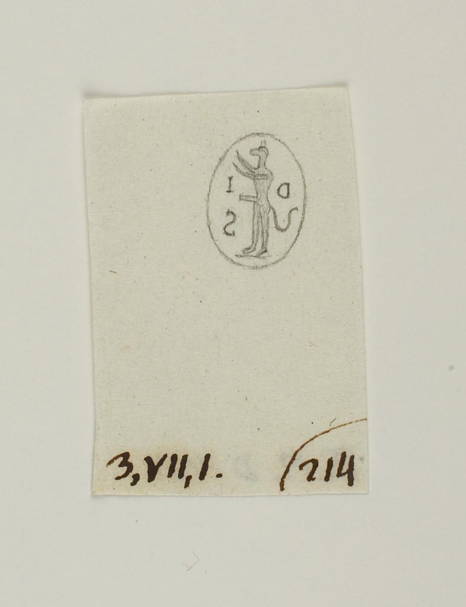 Cynocephalus, indskrift, D1434