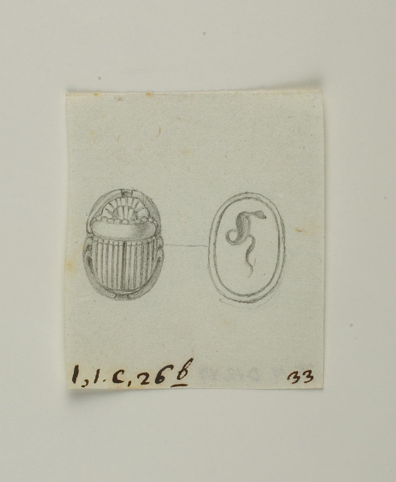 Scarab from back and base, D1249