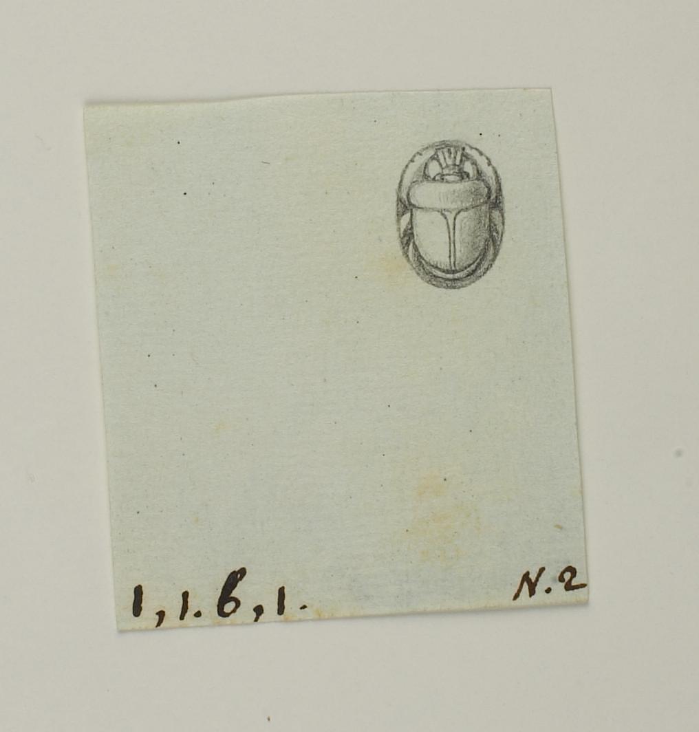 Scarab from the base, D1218
