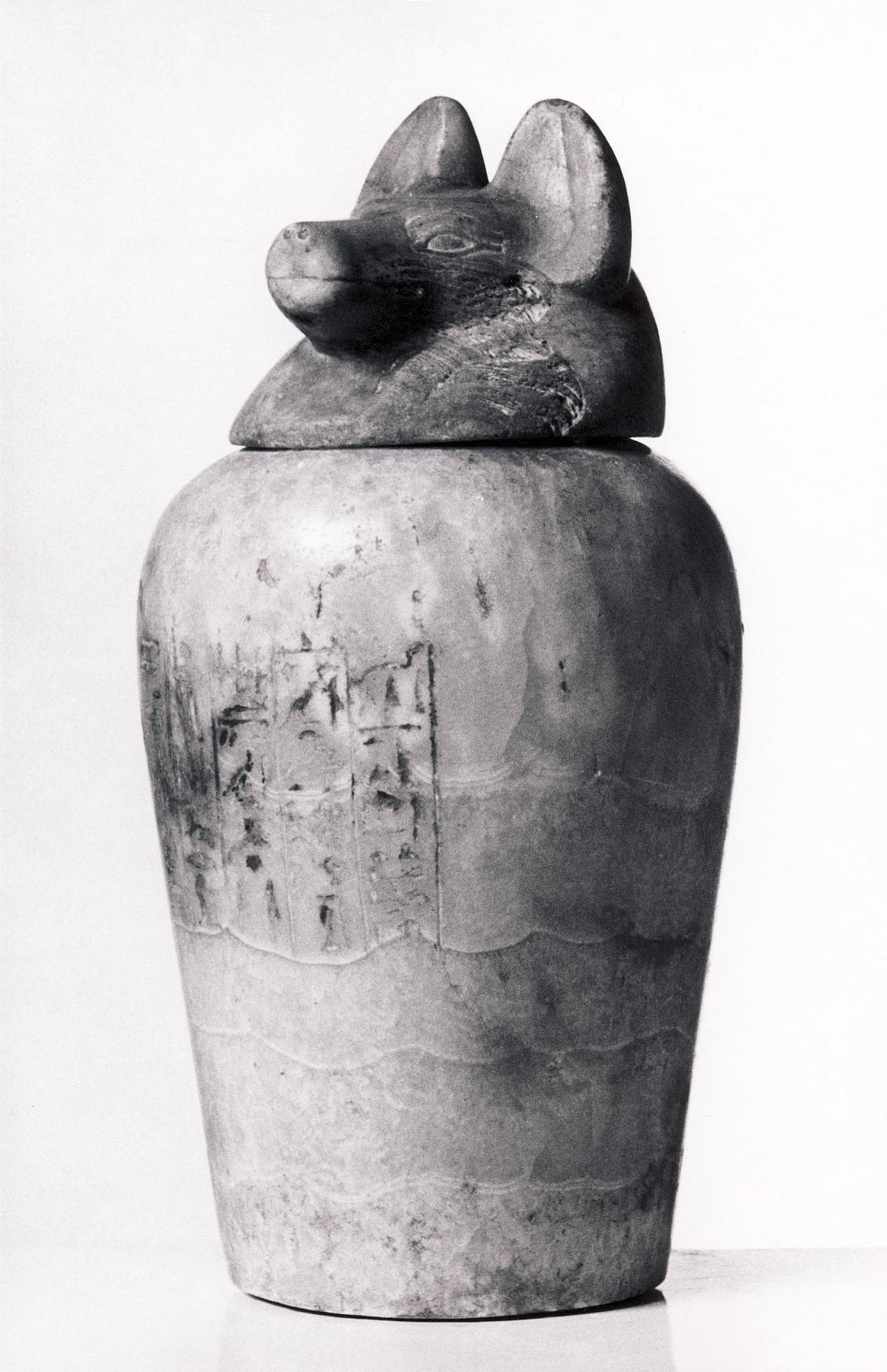 Canopic jar with jackal-headed lid and hieroglyphic inscription, H386