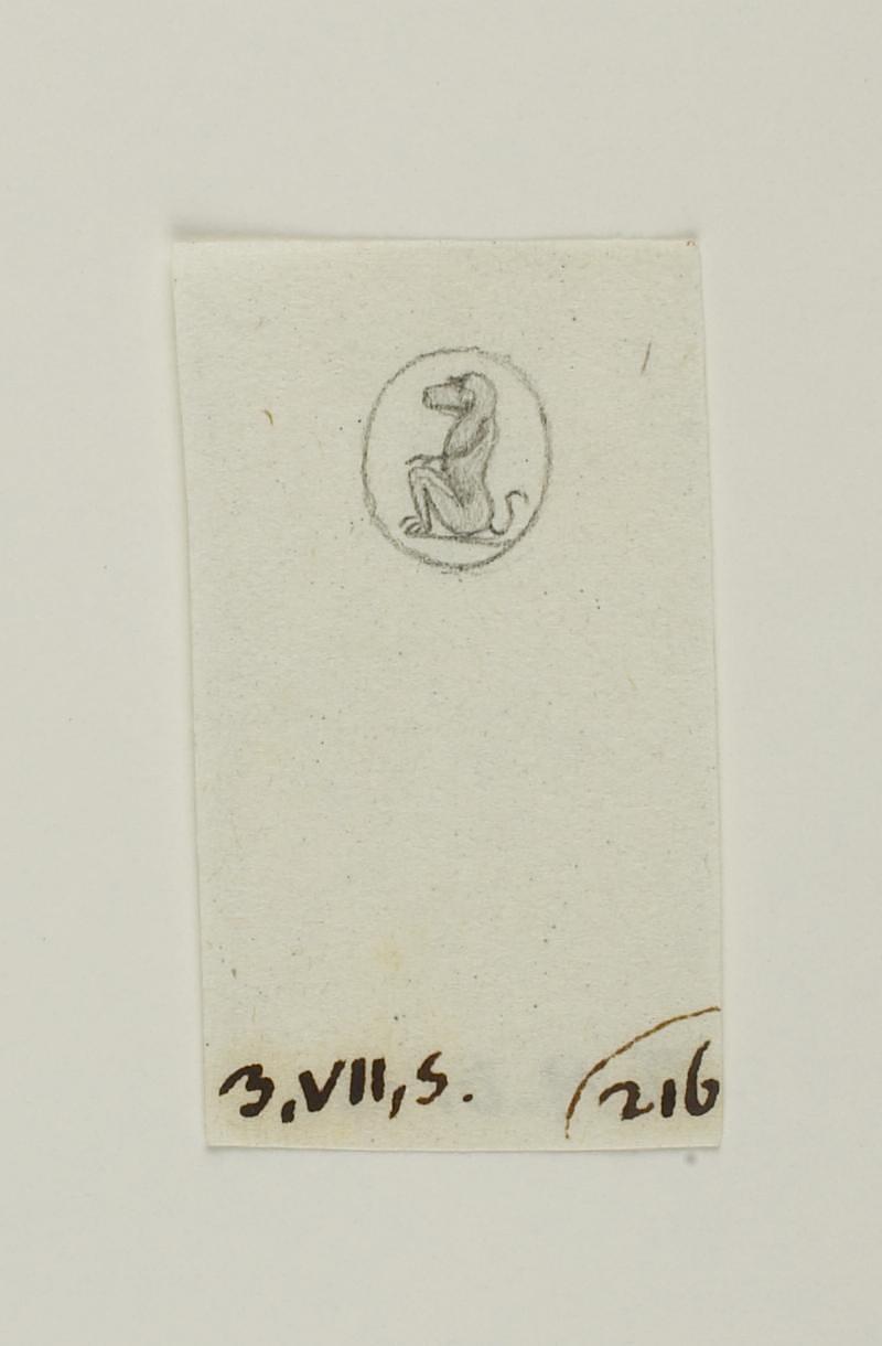 Cynocephalus seated, D1436