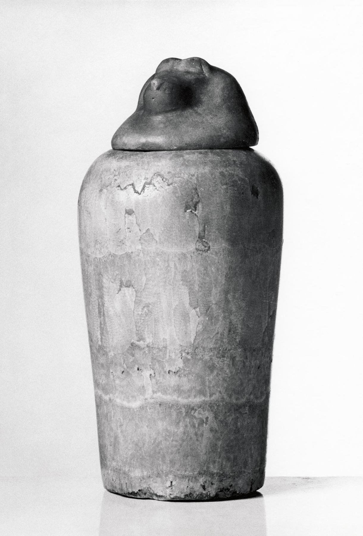 Canopic jar with baboon-headed lid, H385