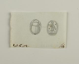 D1232 Scarab from back and base