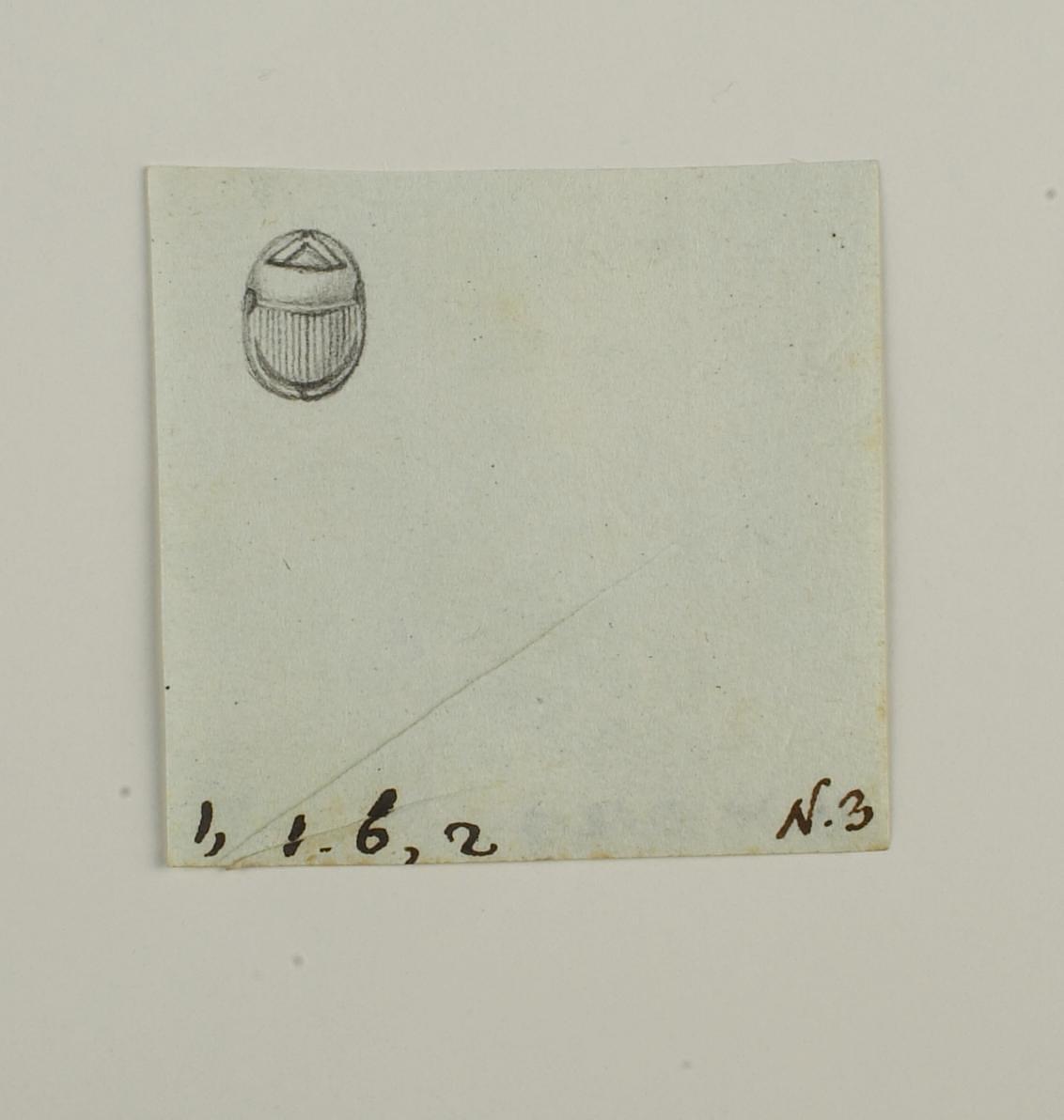 Scarab from the base, D1219