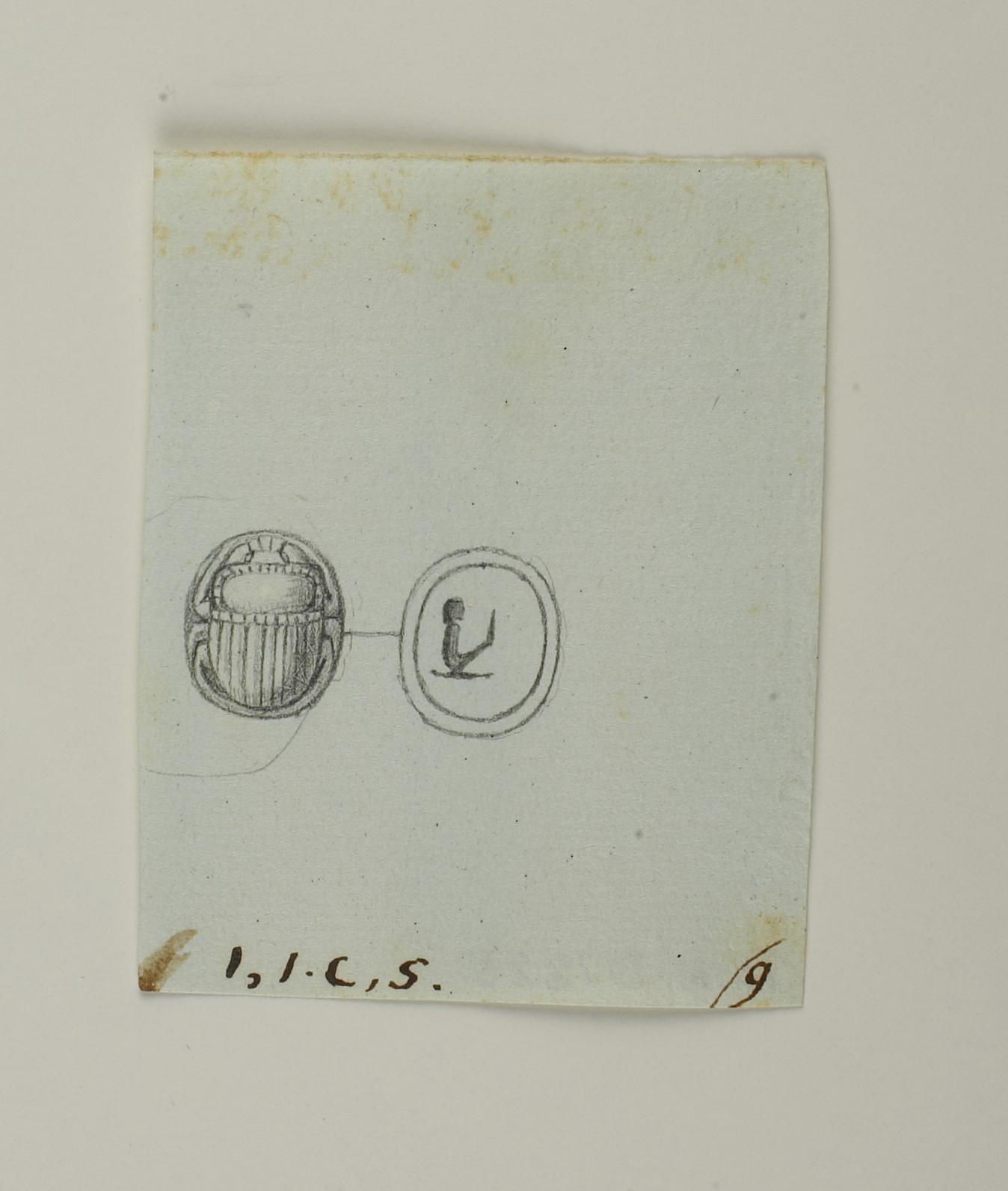 Scarab from back and base, D1225