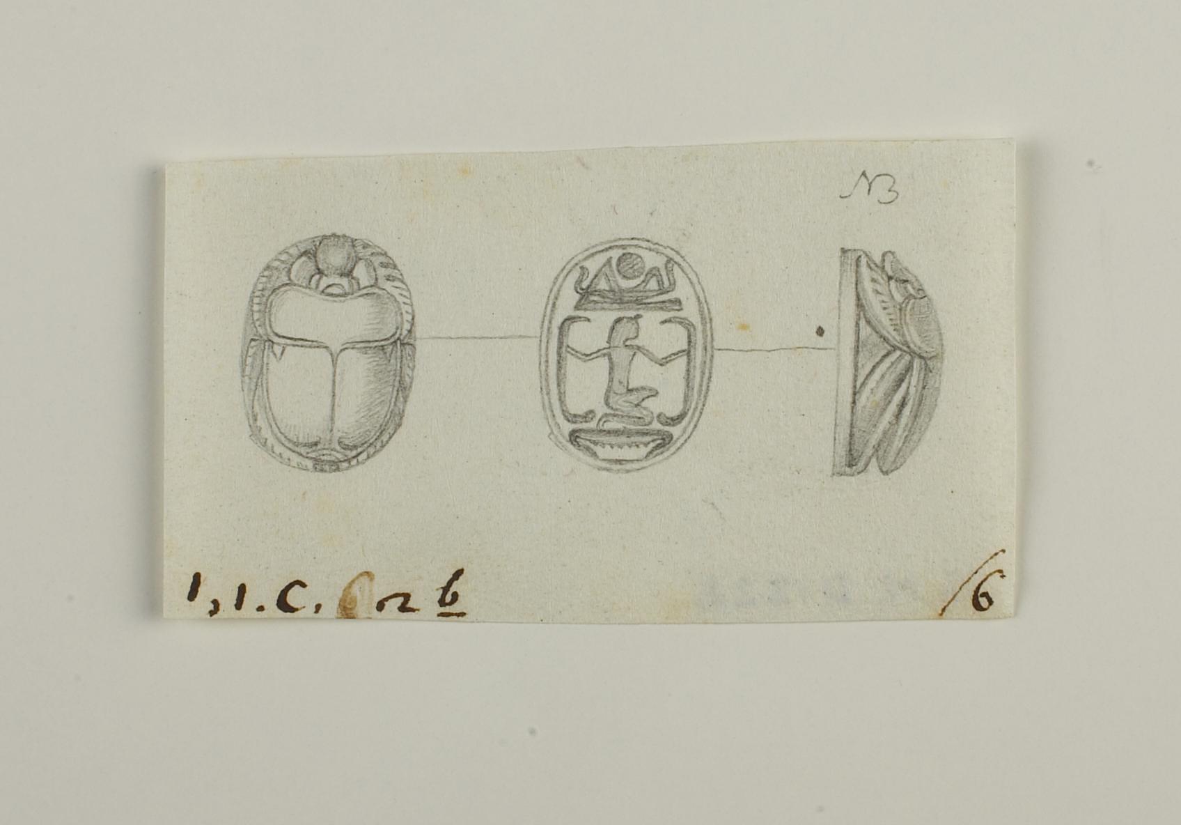 Scarab from the back, base and in profile, D1222