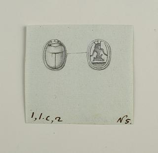 D1221 Scarab from the back and base