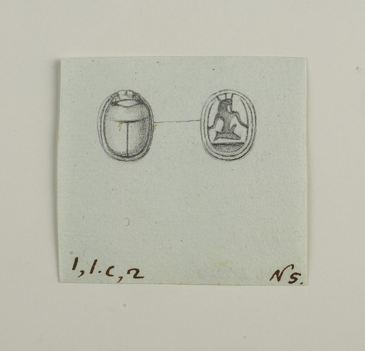 Scarab from the back and base, D1221