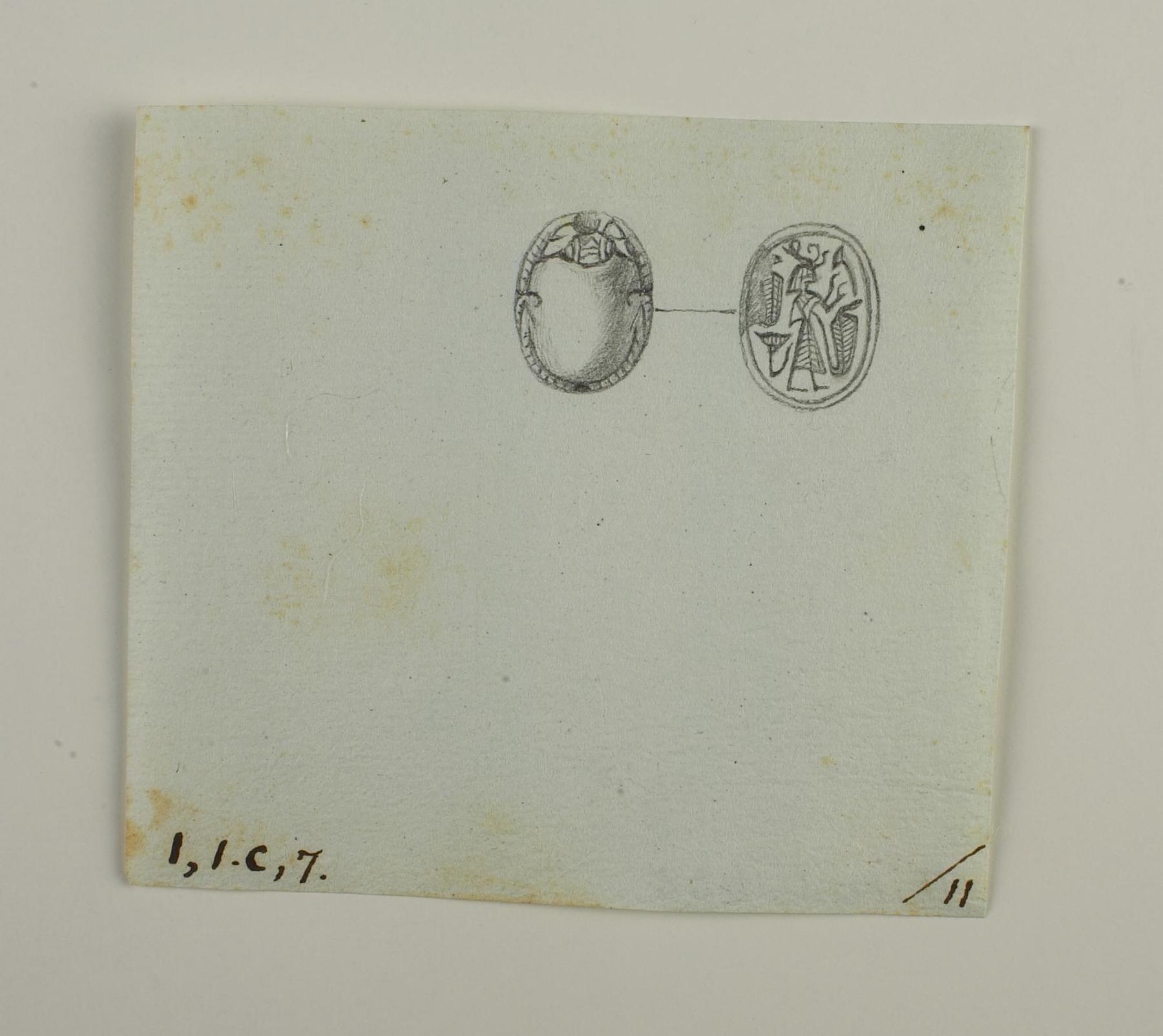 Scarab from back and base, D1227