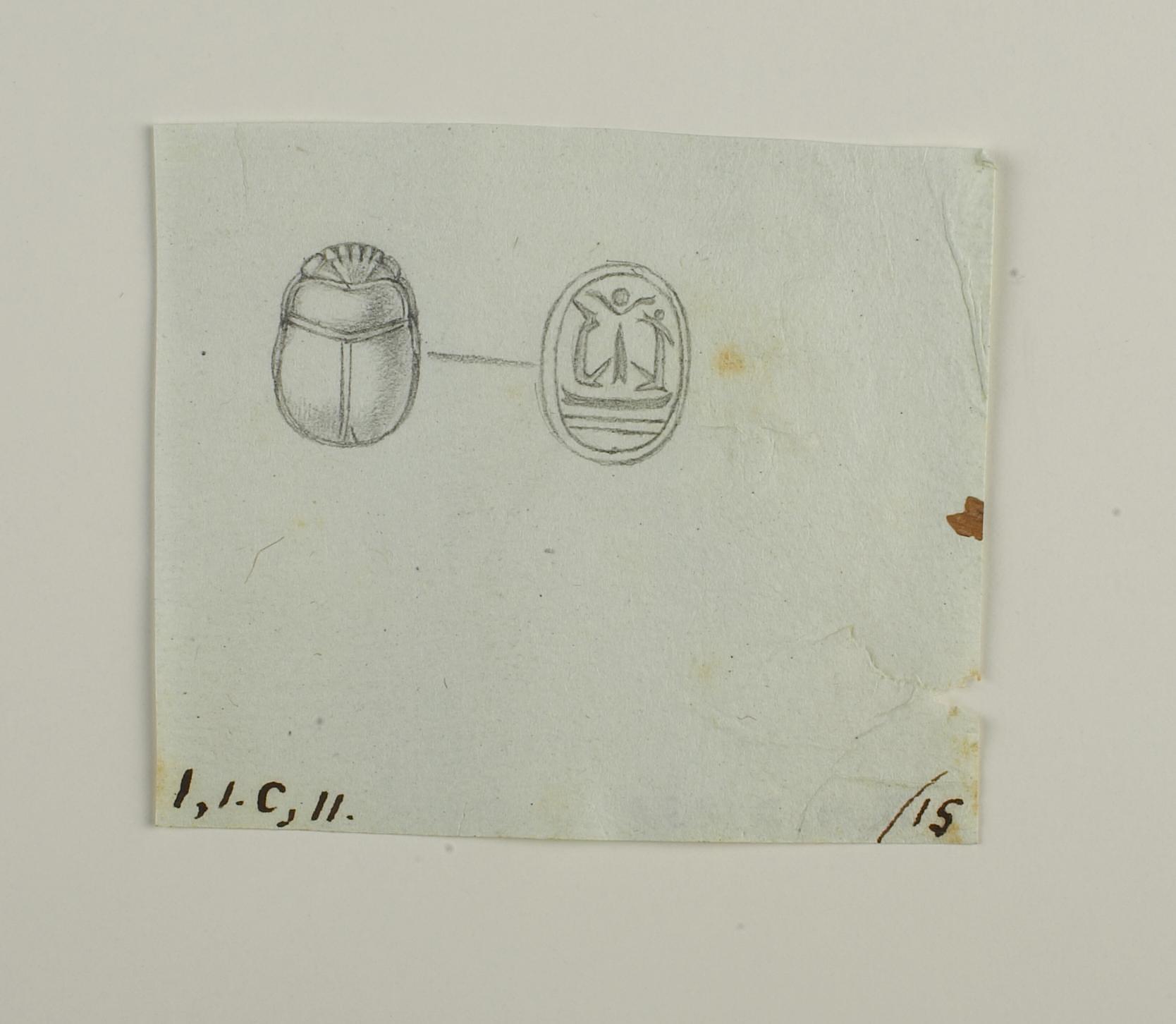 Scarab from back and base, D1231