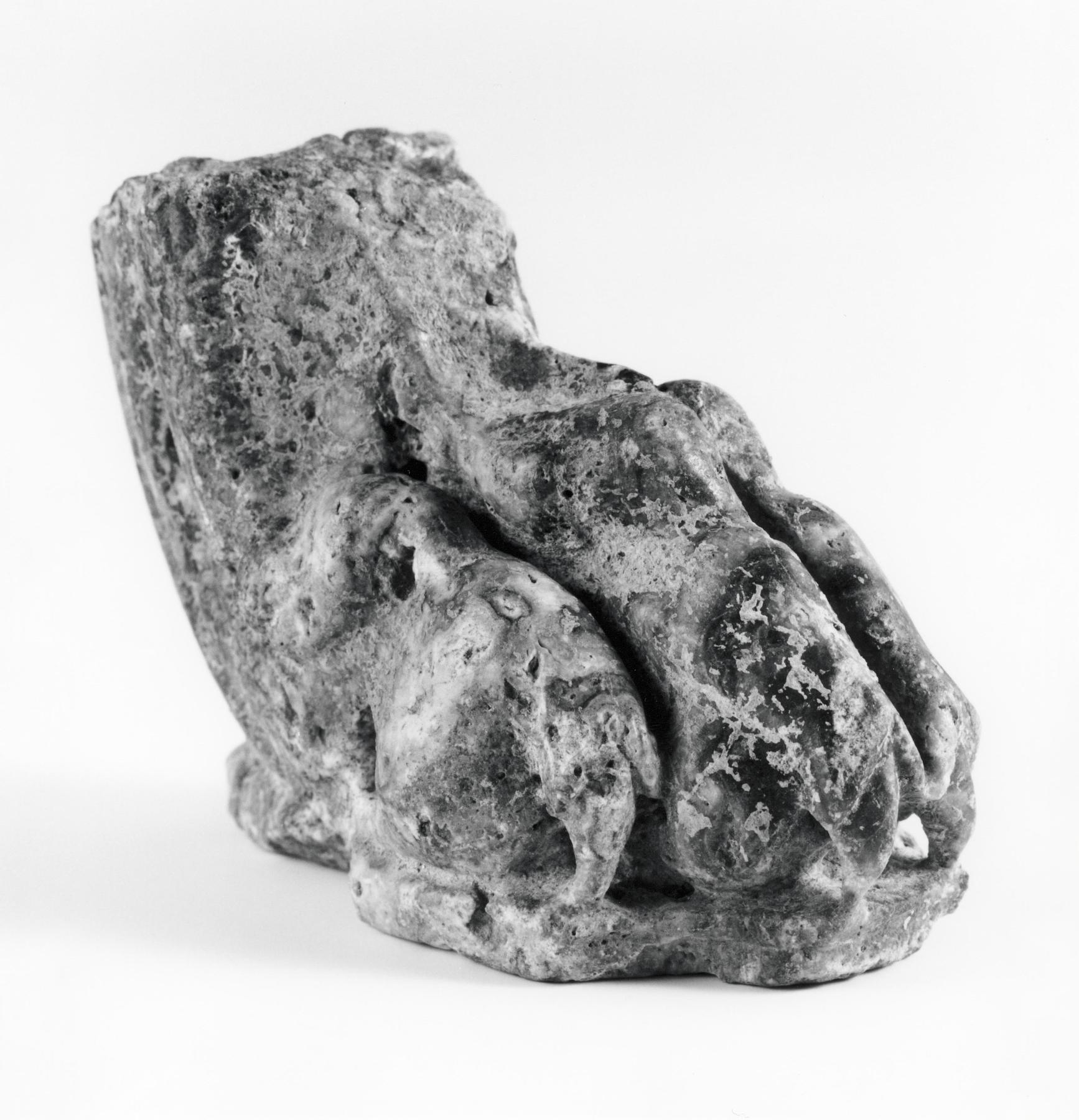 Table leg or lion sculpture, H1466