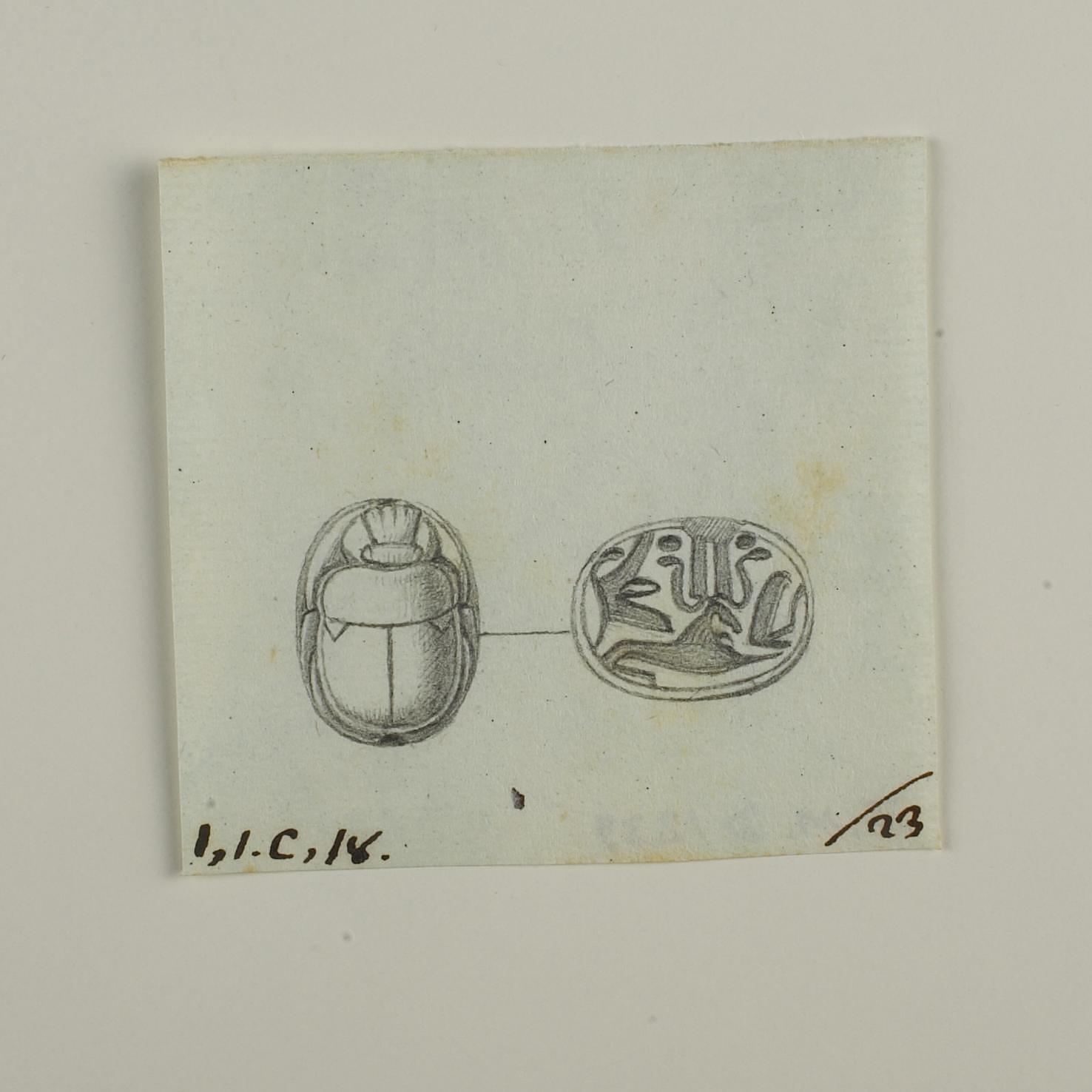 Scarab from back and base, D1239