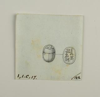 D1238 Scarab from back and base