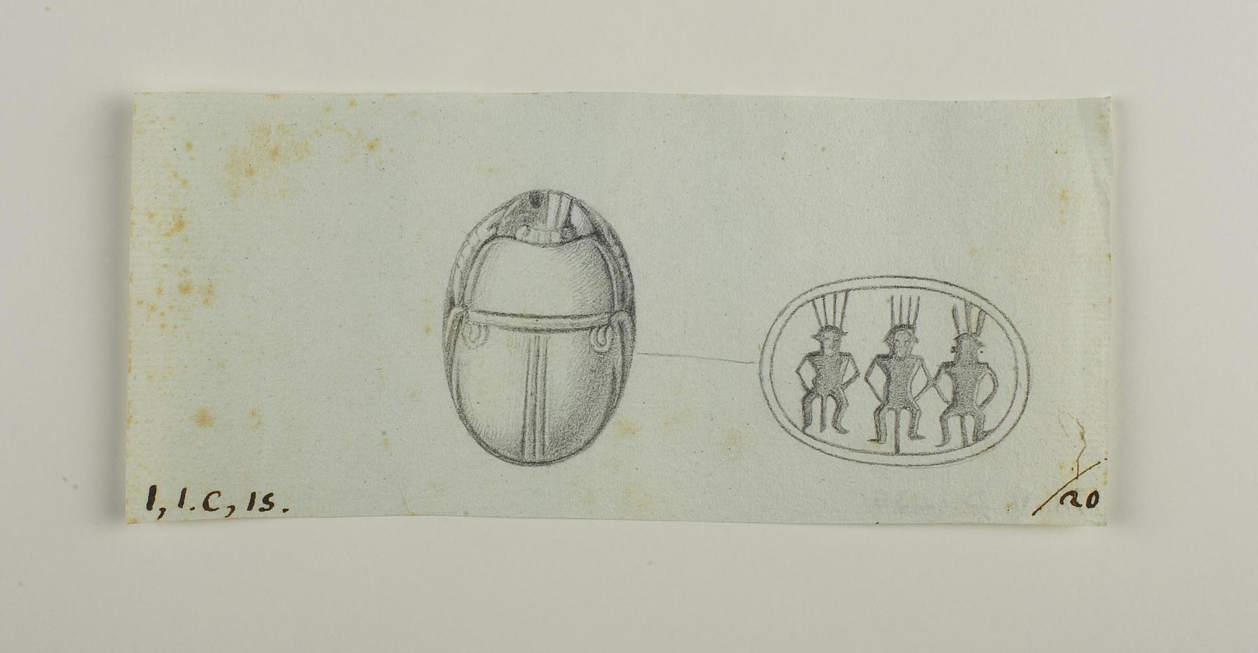 Scarab, D1236