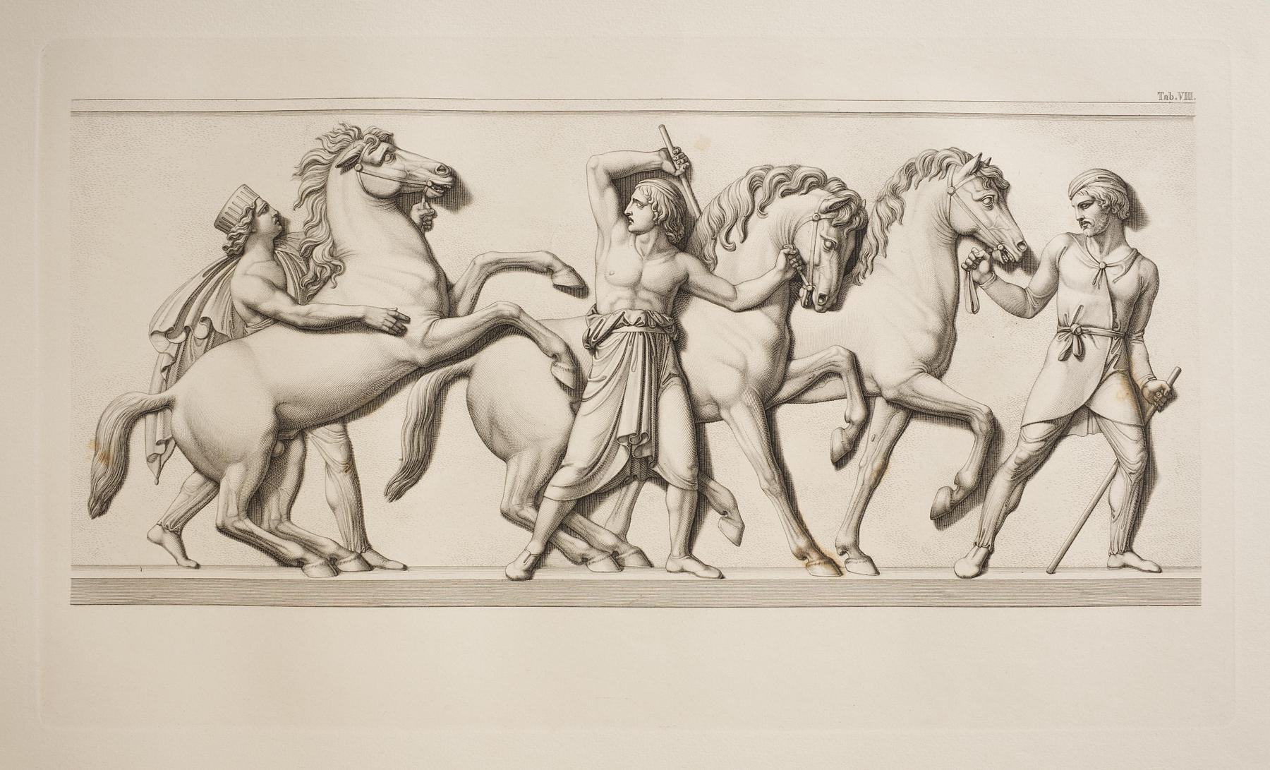 Tre heste fra Persien, E35,8