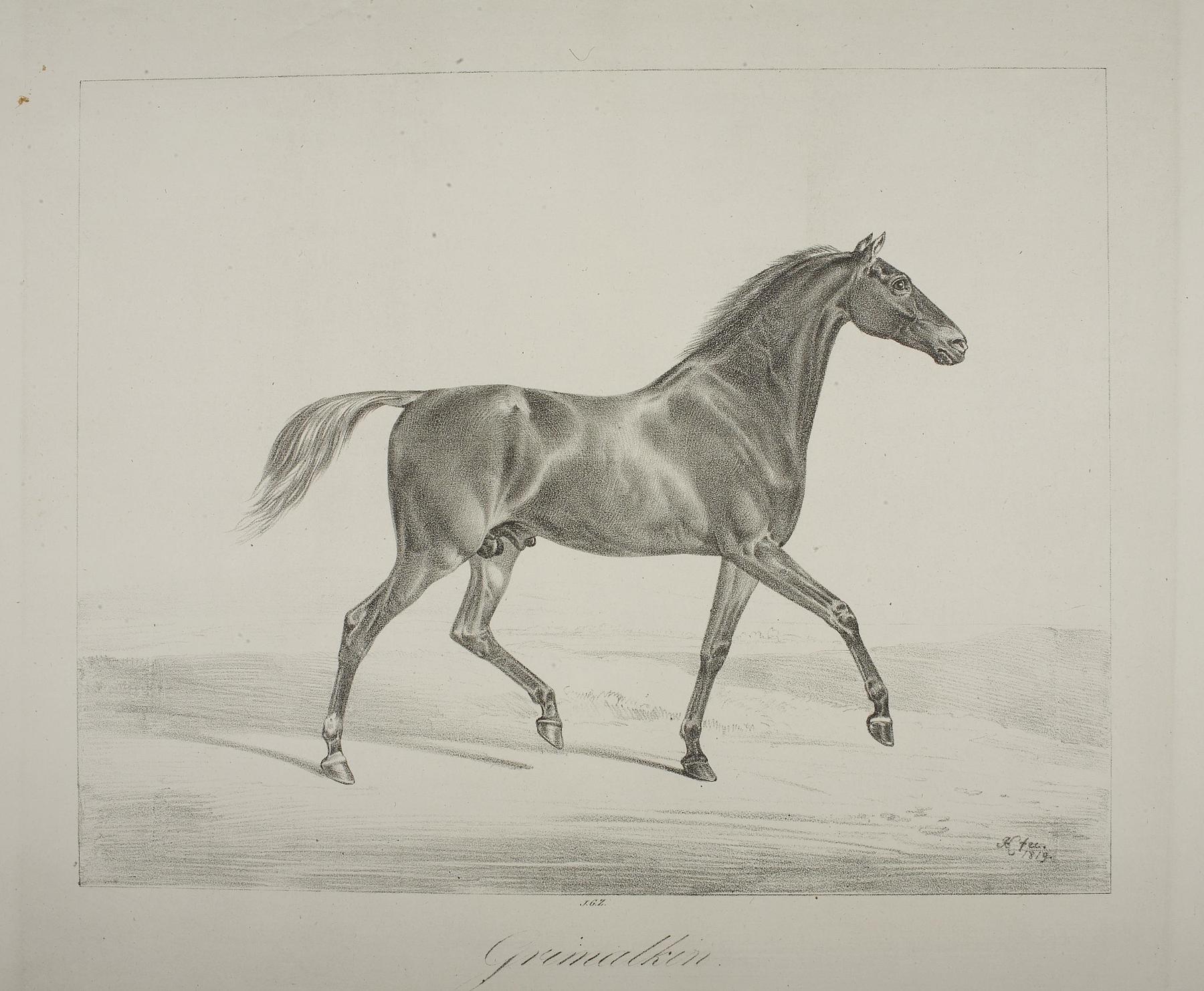 The Horse Grimalkin, E1133
